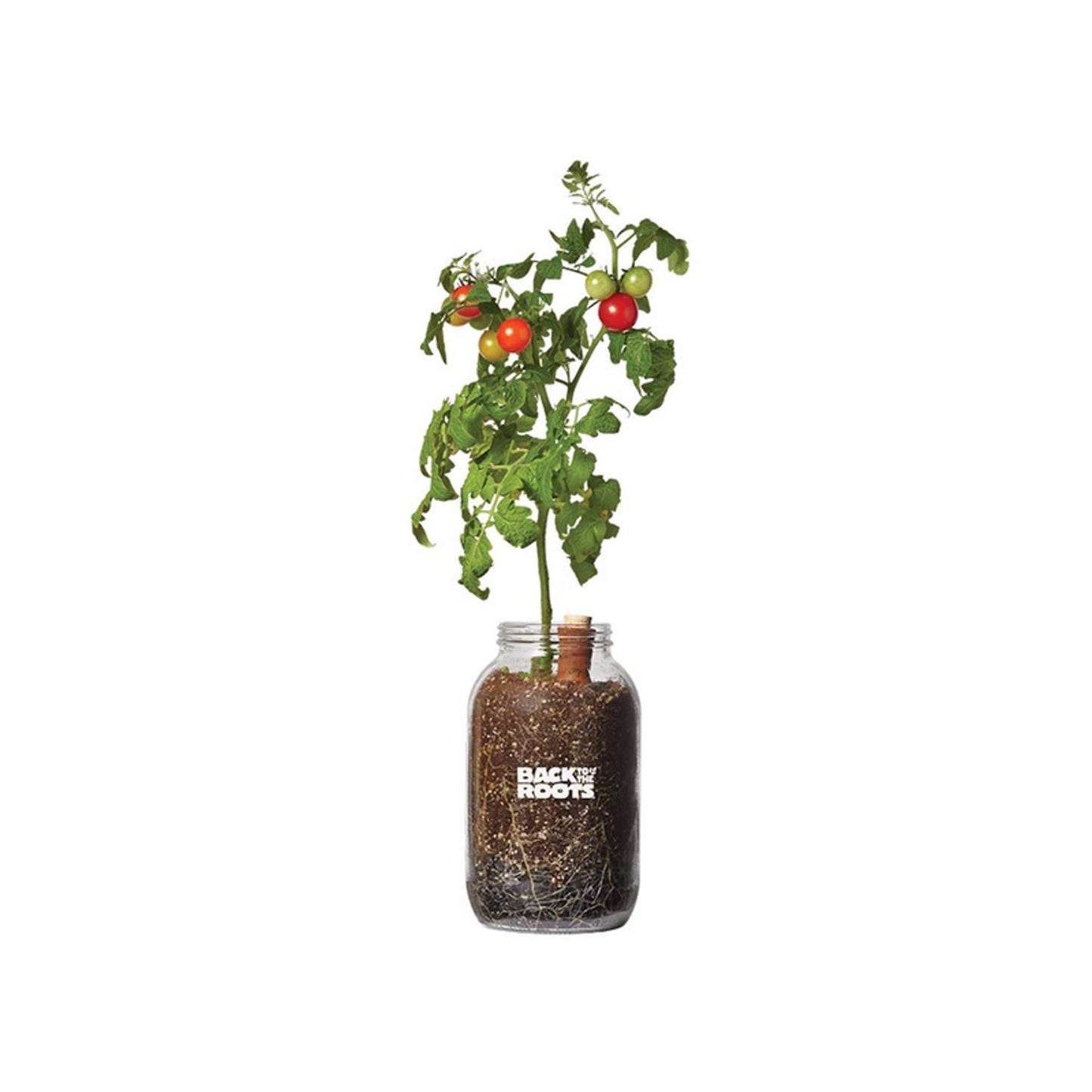  Back To The Roots Cherry Tomato Grow Kit 1 Pk