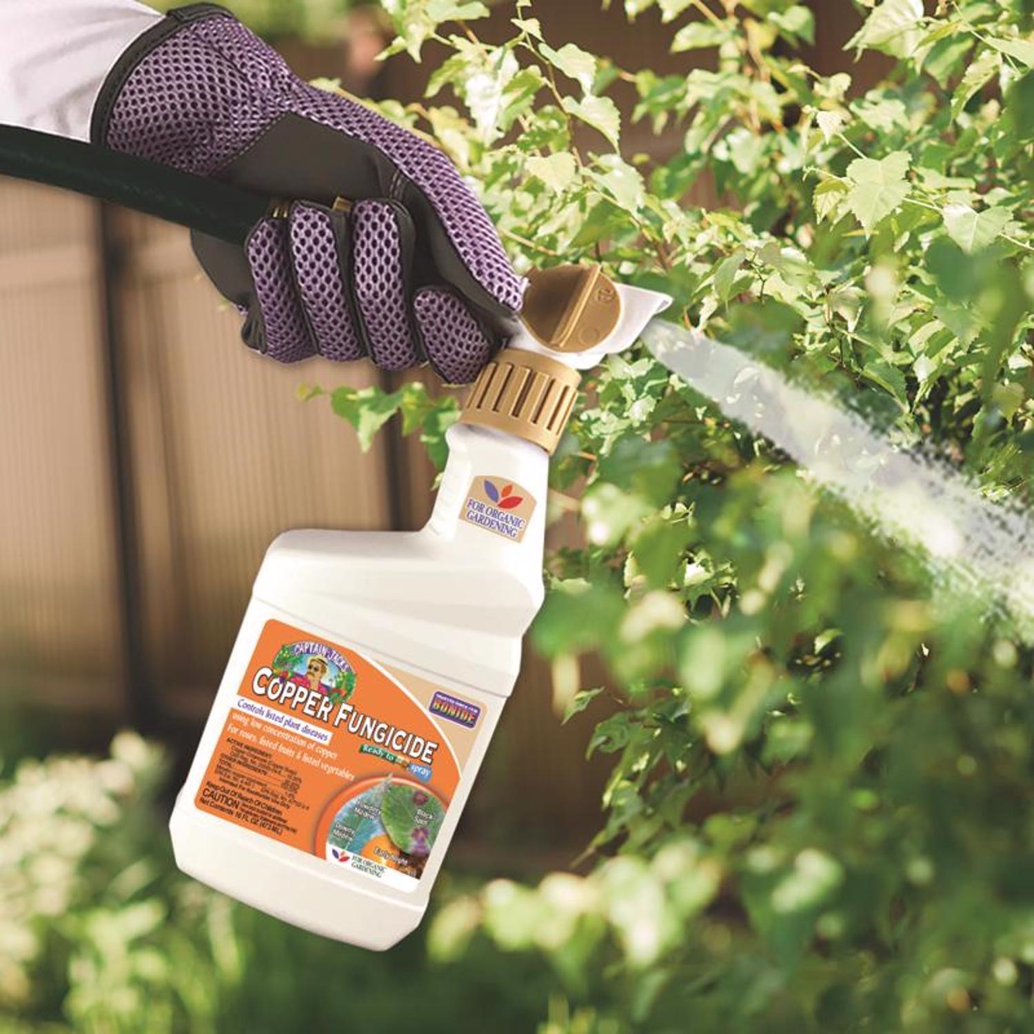  Bonide Captain Jack's Concentrated Liquid Disease And Fungicide Control 16 Oz