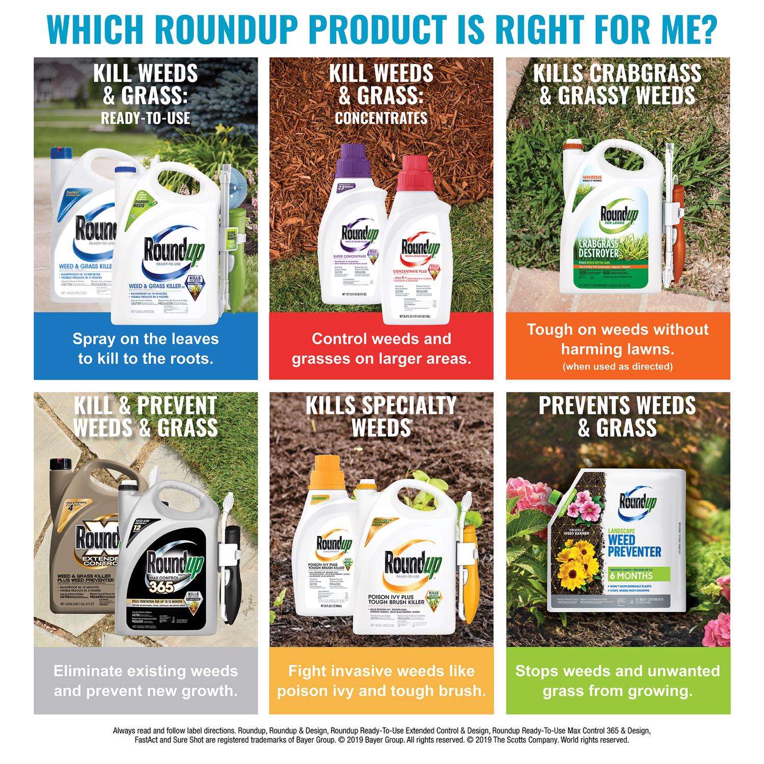  Roundup Weed And Grass Killer Concentrate 0.5 Gal