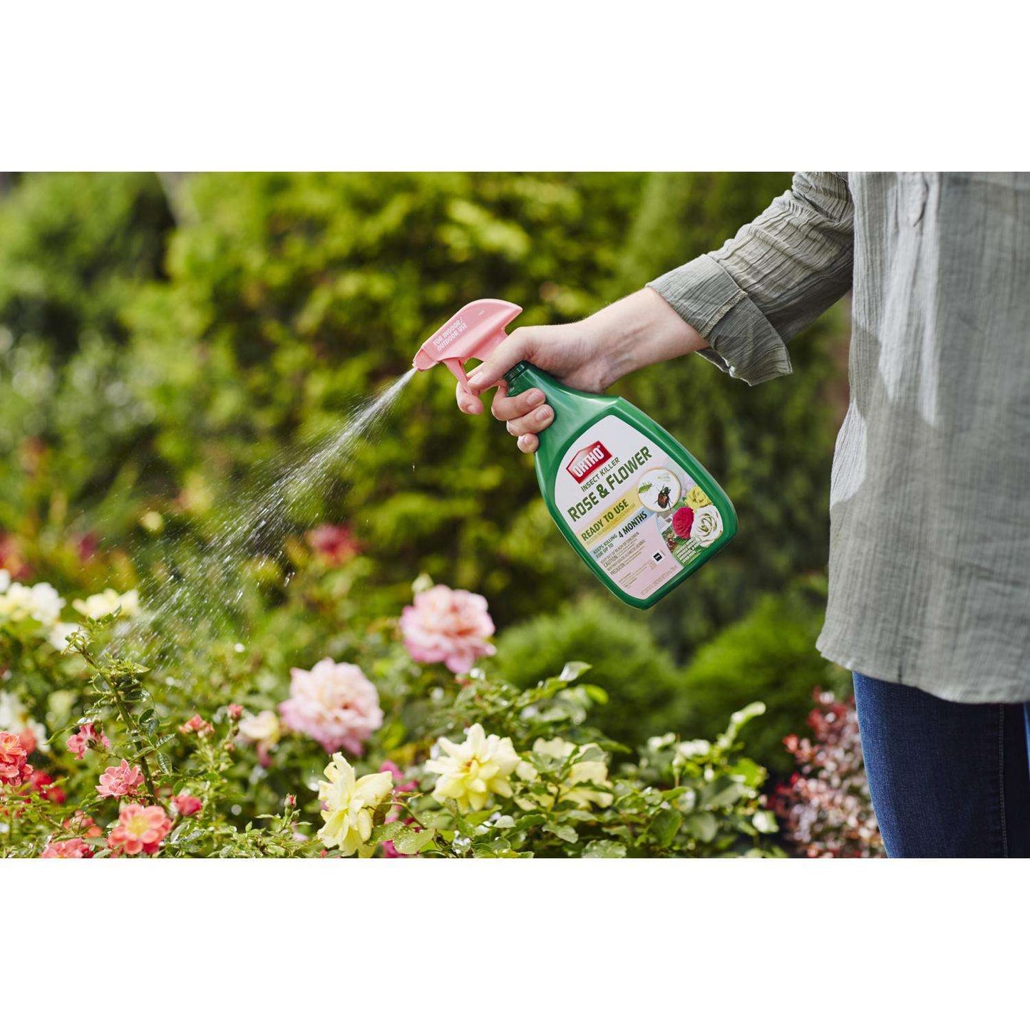  Ortho Insect Killer Liquid 24 Oz