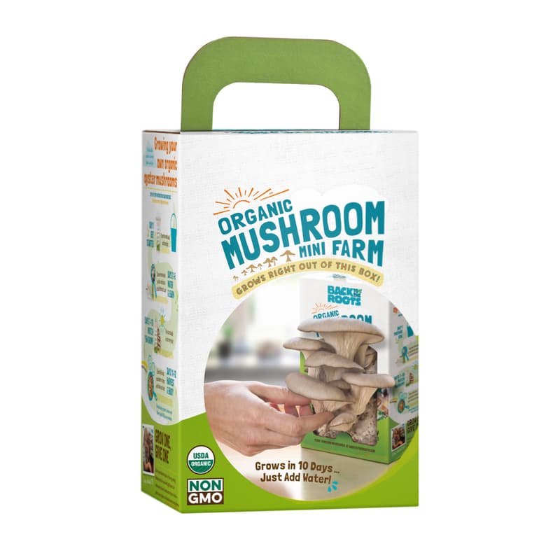  Back To The Roots Mushroom Mini Farm 1 Pk