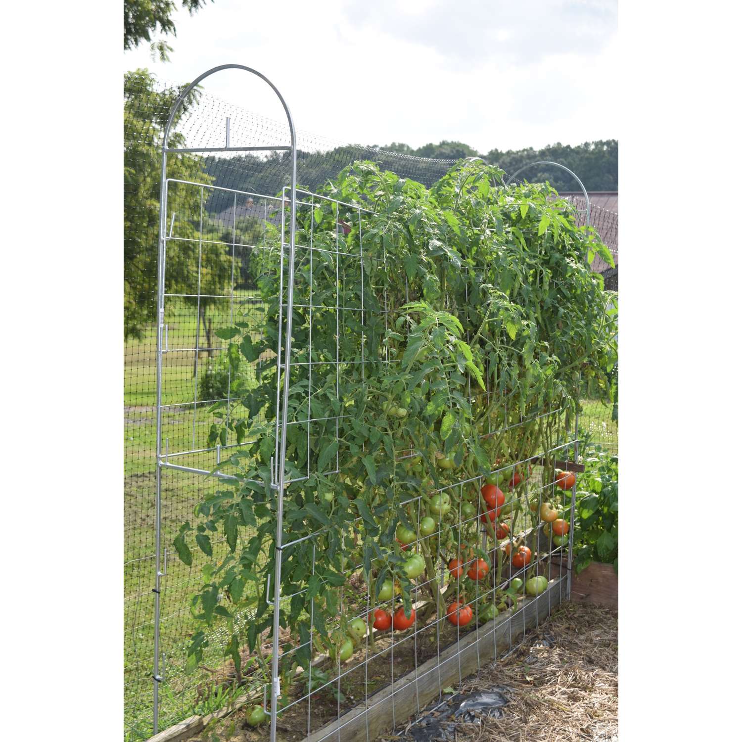  Trellis King 30 In. H Gray Steel Trellis