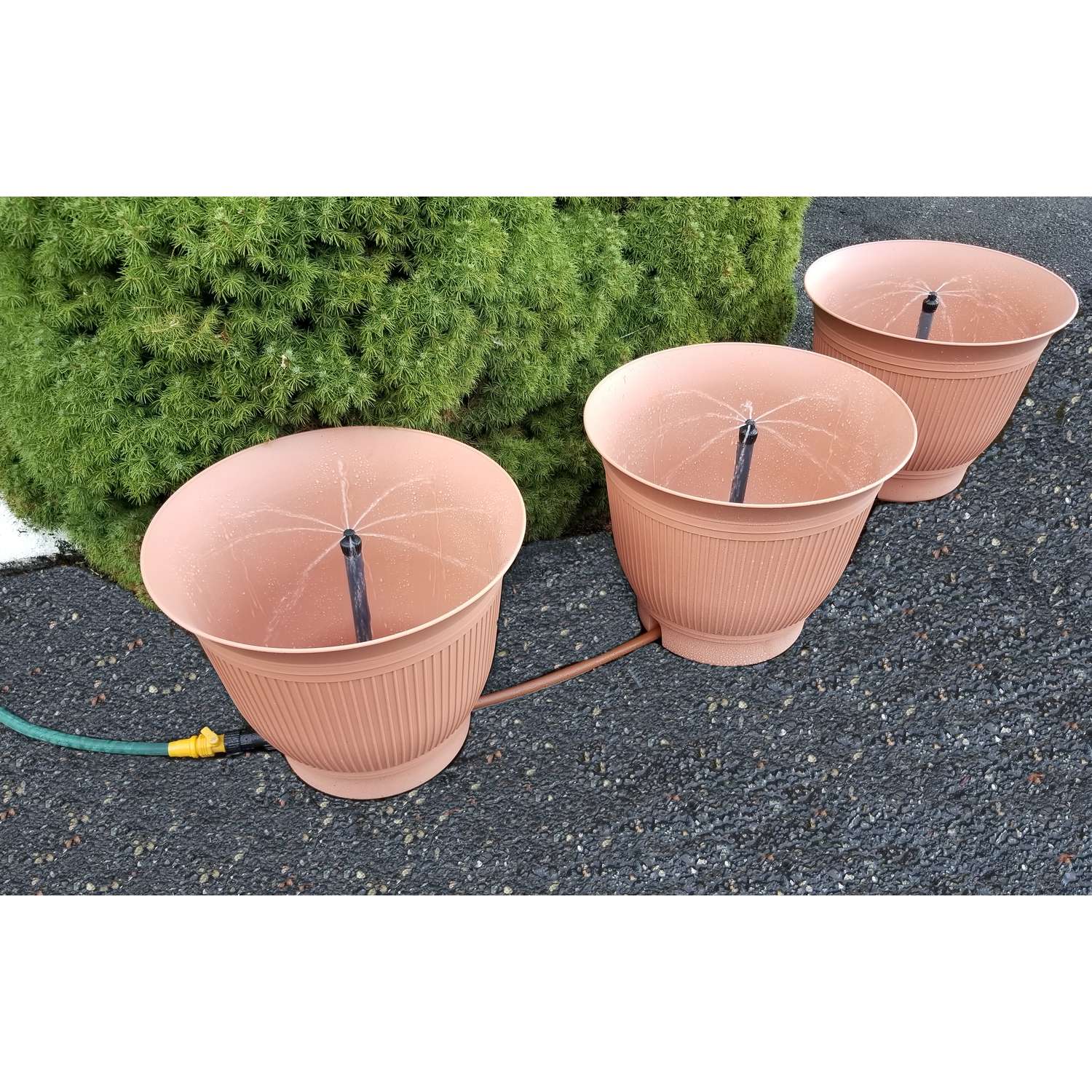  Daisy Rain Garden Systems 18.75 In. H X 18.25 In. W X 18.25 In. D Plastic Flower Pot Terracotta