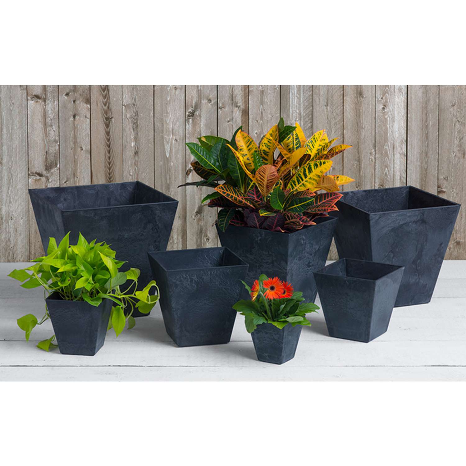  Novelty Artstone 8 In. H X 7.8 In. W X 7.8 In. D Resin Ella Planter Black
