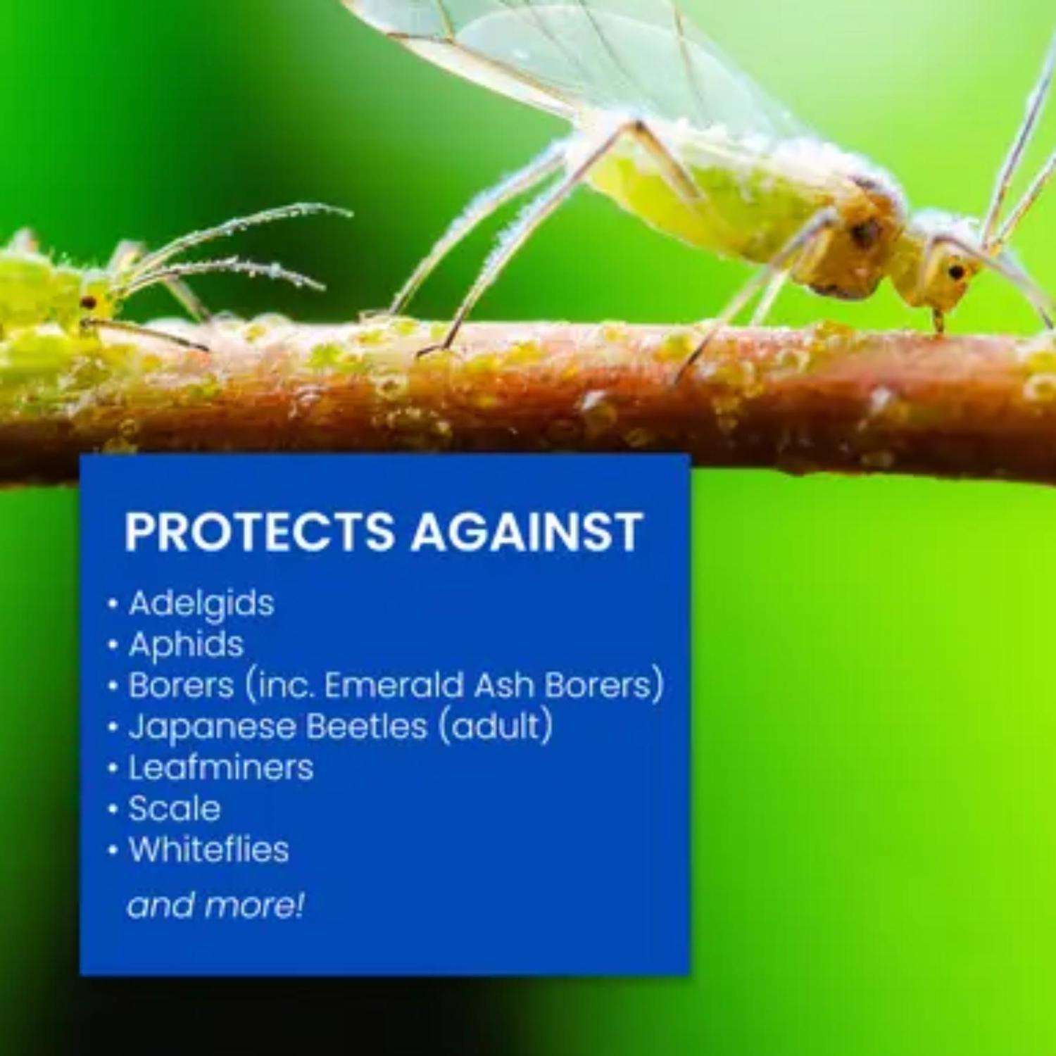  BioAdvanced Insect Control With Fertilizer Liquid Concentrate 32 Oz