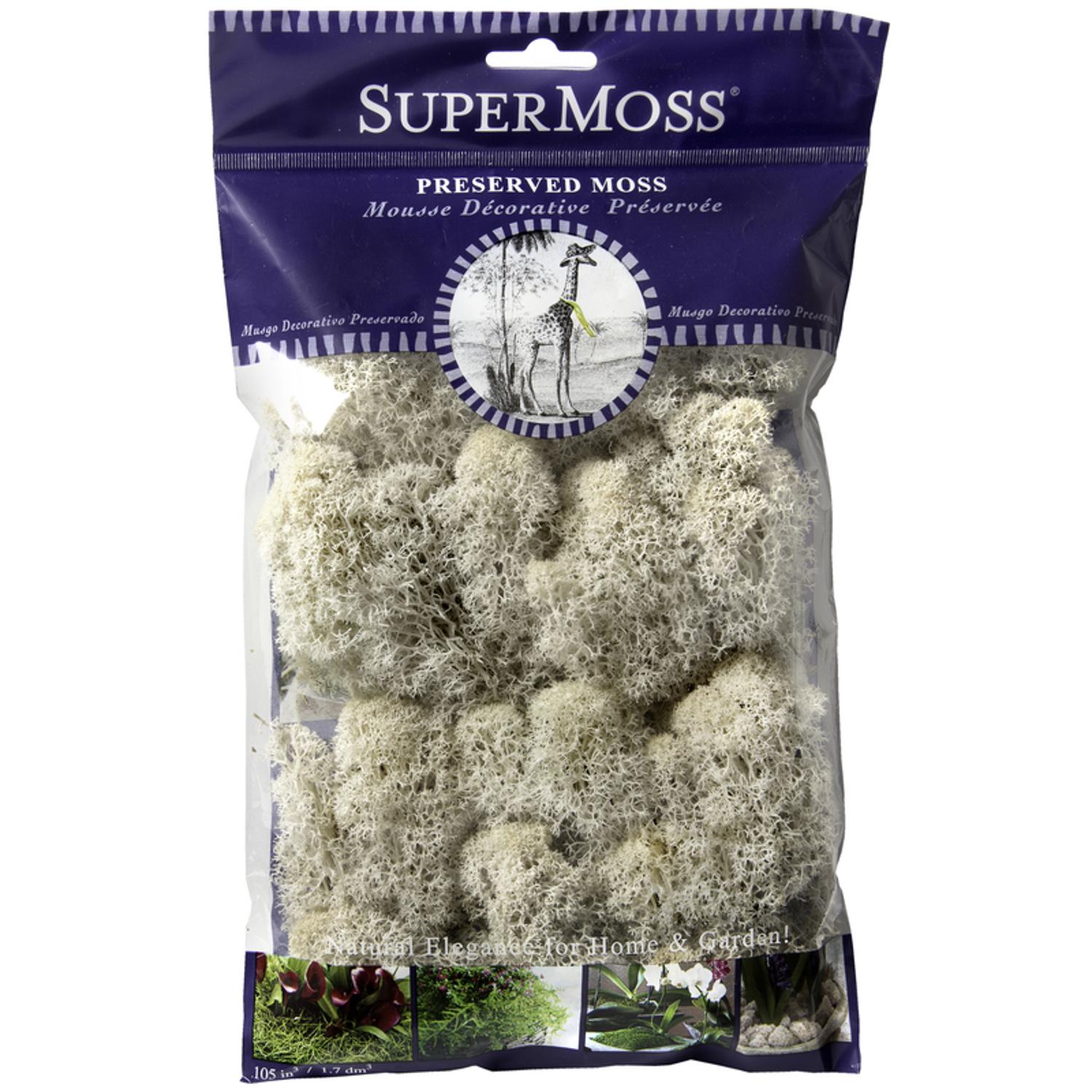  SuperMoss Natural Reindeer Moss 80.75 Cu In