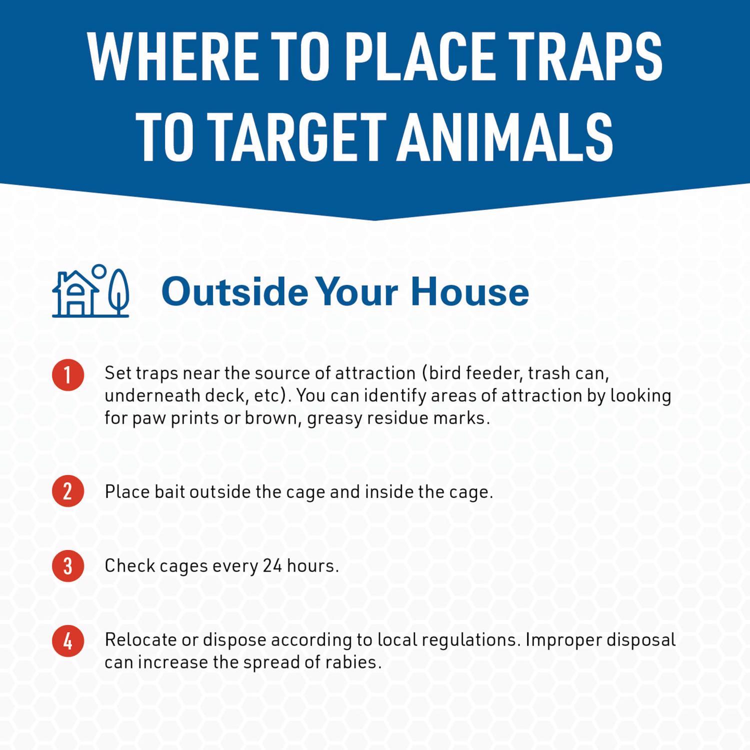  JT Eaton Answer Small Live Catch Animal Trap For Rabbits 1 Pk