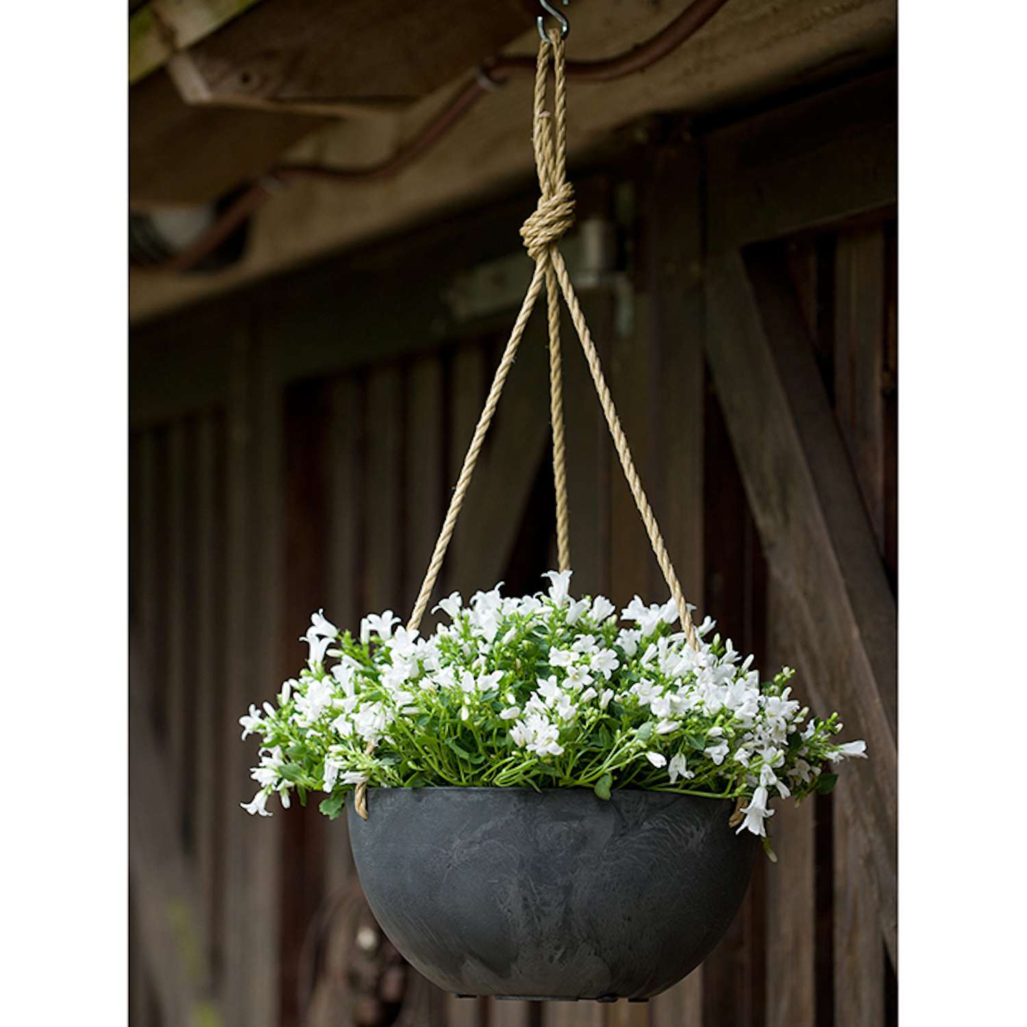  Novelty ArtStone 5.9 In. H X 12.2 In. W X 12.2 In. D X 12.2 In. D Resin Napa Hanging Planter Black