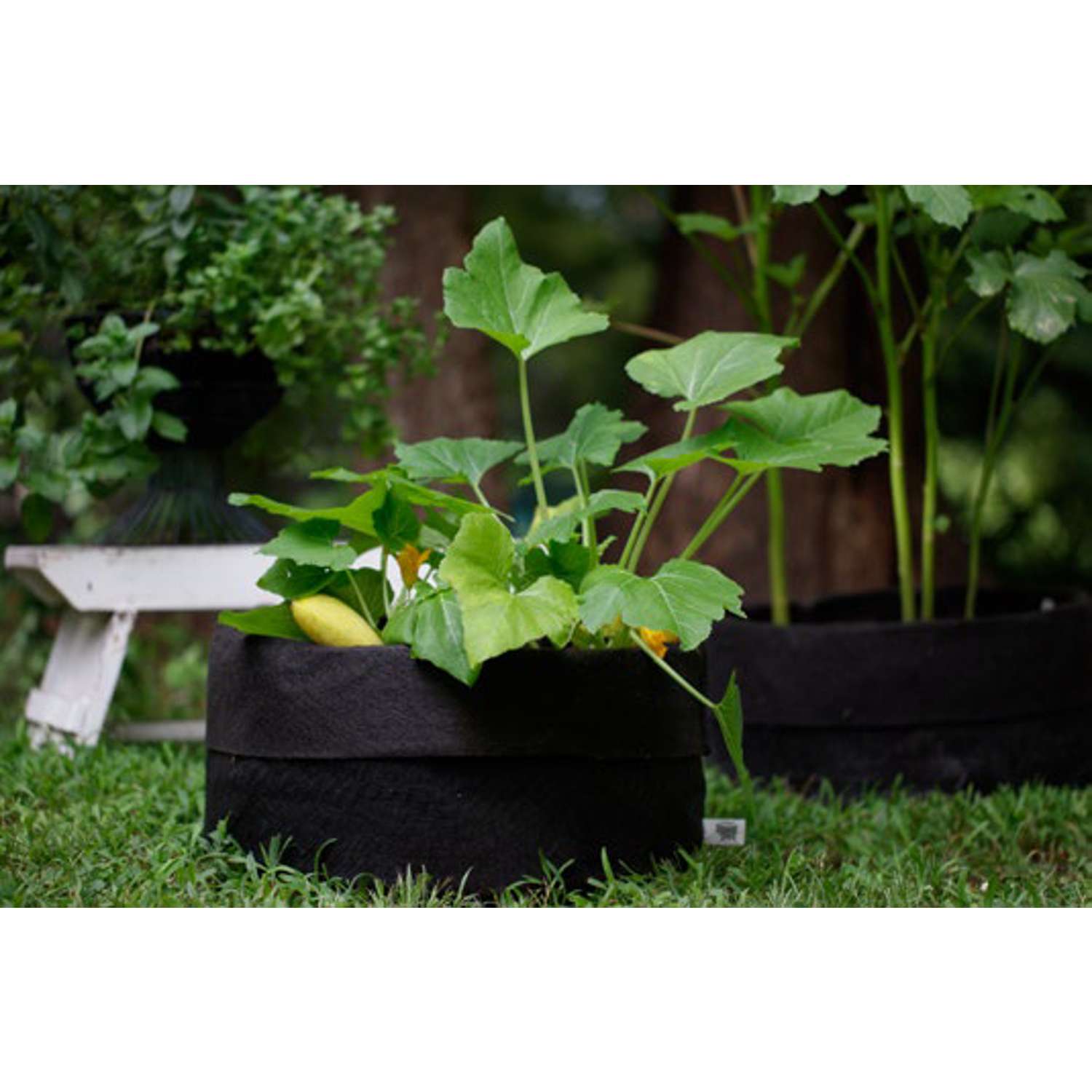  Smart Pot Geo-Thermal Fabric Grow Bag Planter Black