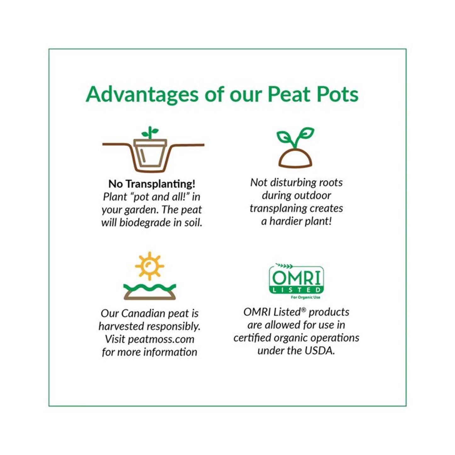  Jiffy 1 Cells 4 In. H X 4 In. W Seed Starting Peat Pot 6 Pk