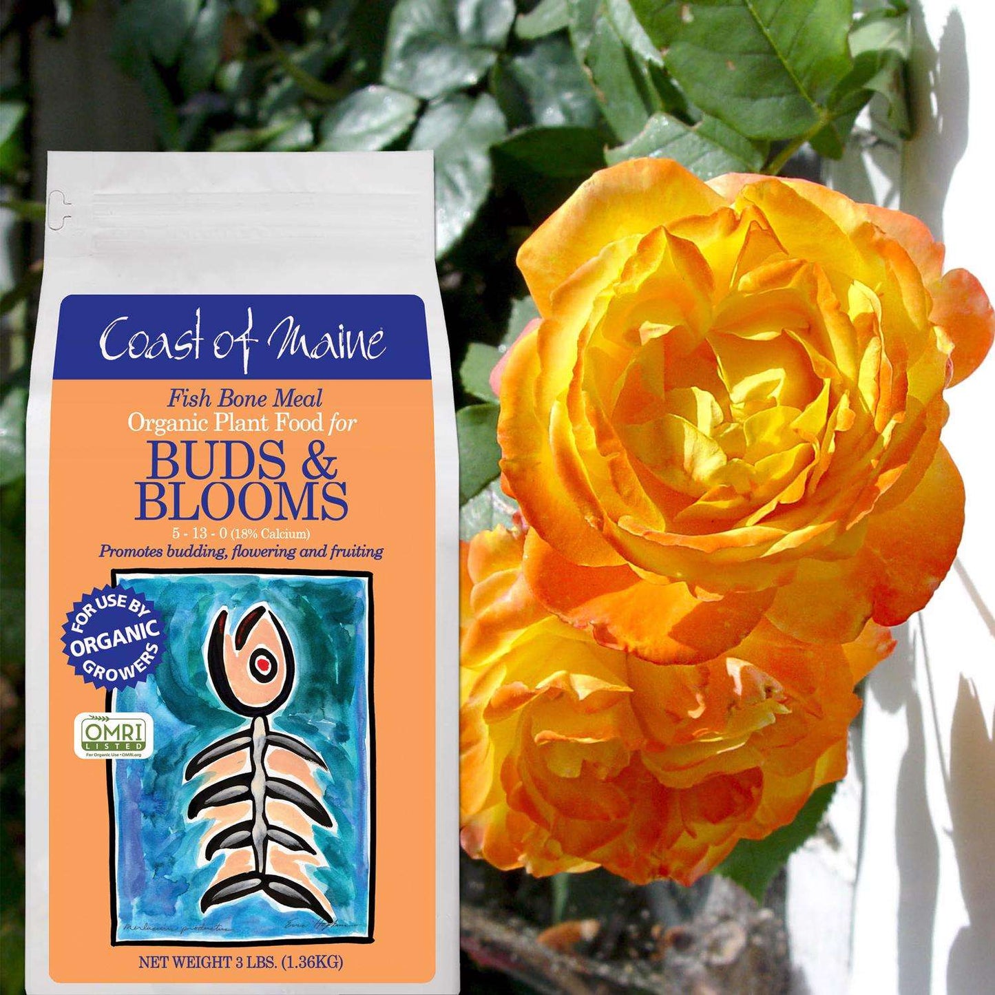  Coast Of Maine Buds & Blooms Organic Granules All Purpose Plant Food 3 Lb