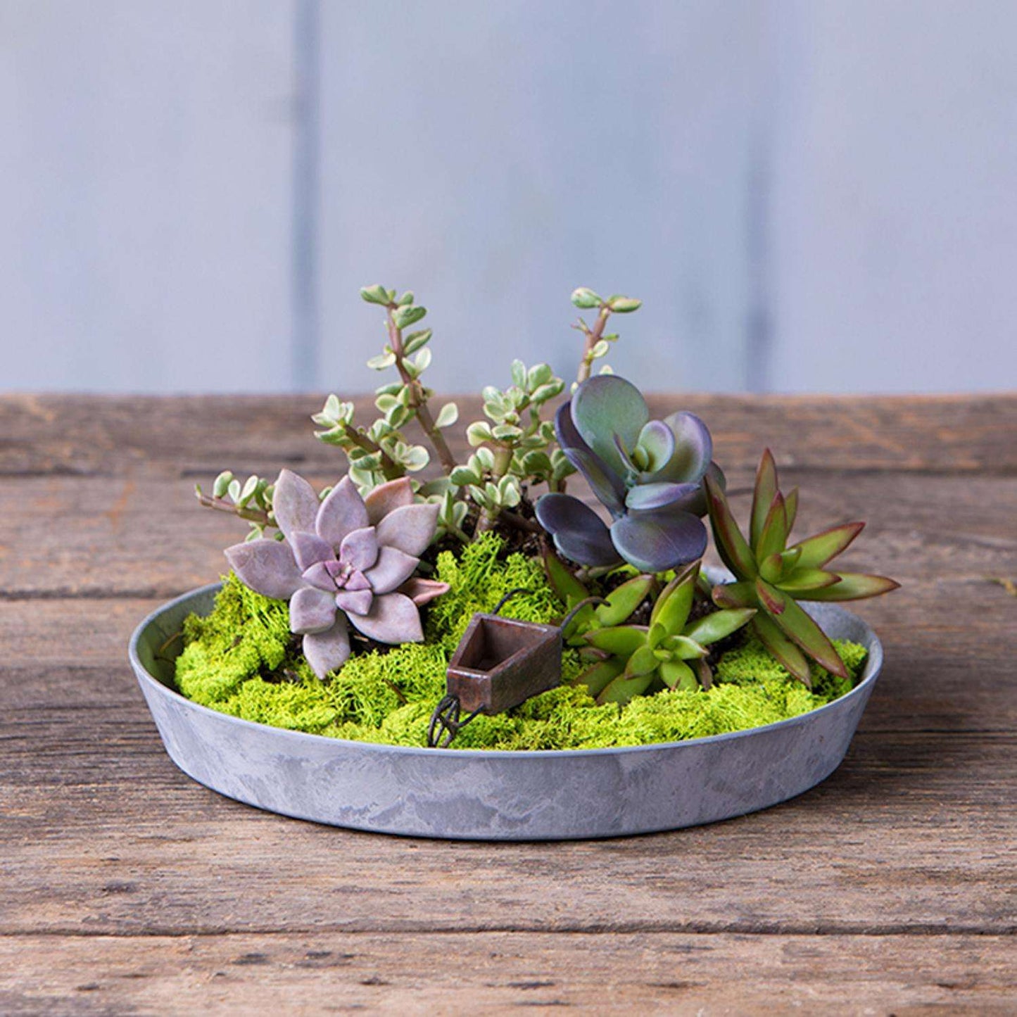  Novelty ArtStone 1.6 In. H X 11.6 In. W X 11.6 In. D X 11.6 In. D Resin Napa Tray Planter Gray