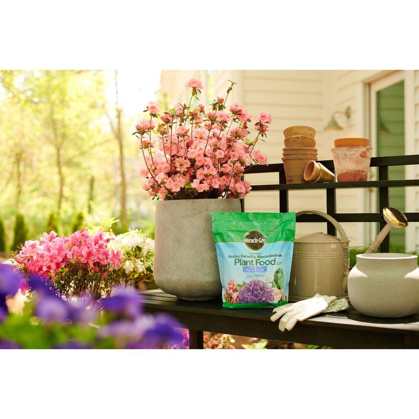  Miracle-Gro Powder Acid-Loving Plants Of Azalea, Camellia, Rhododendron Plant Food 5 Lb