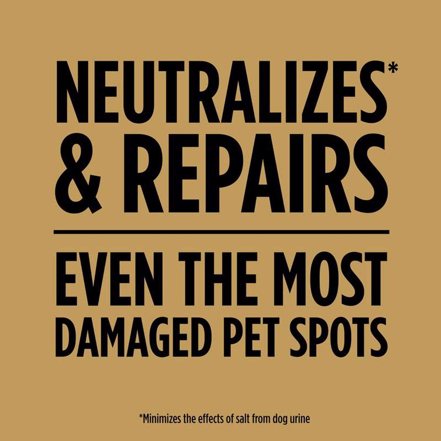  Scotts EZ Seed Tall Fescue Grass Sun Or Shade Pet/Dog Spot Grass Repair Seed 2 Lb