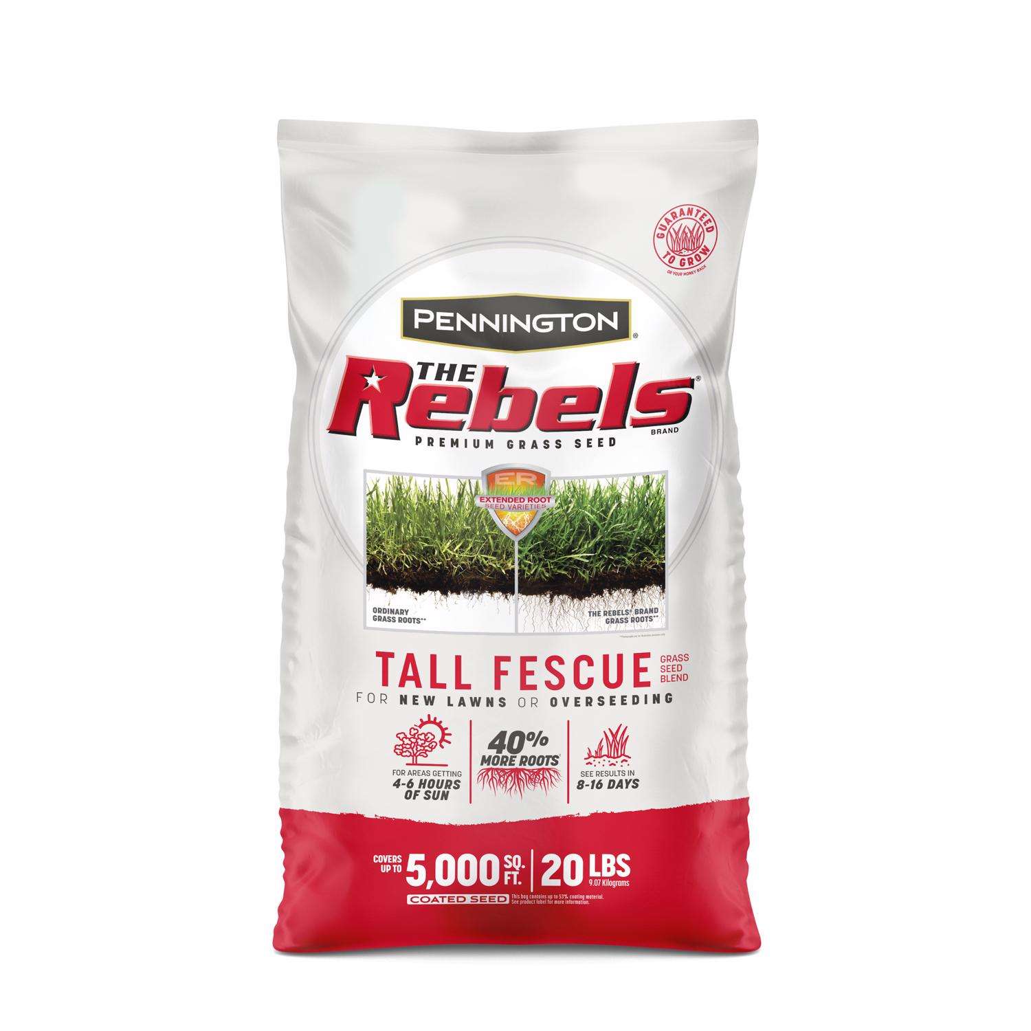  Pennington The Rebels Tall Fescue Grass Sun Or Shade Grass Seed 20 Lb