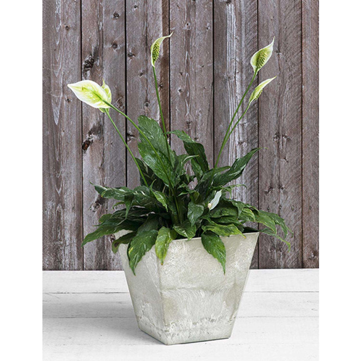  Novelty Artstone 11.5 In. H X 11.8 In. W X 11.8 In. D Resin Ella Planter Mint