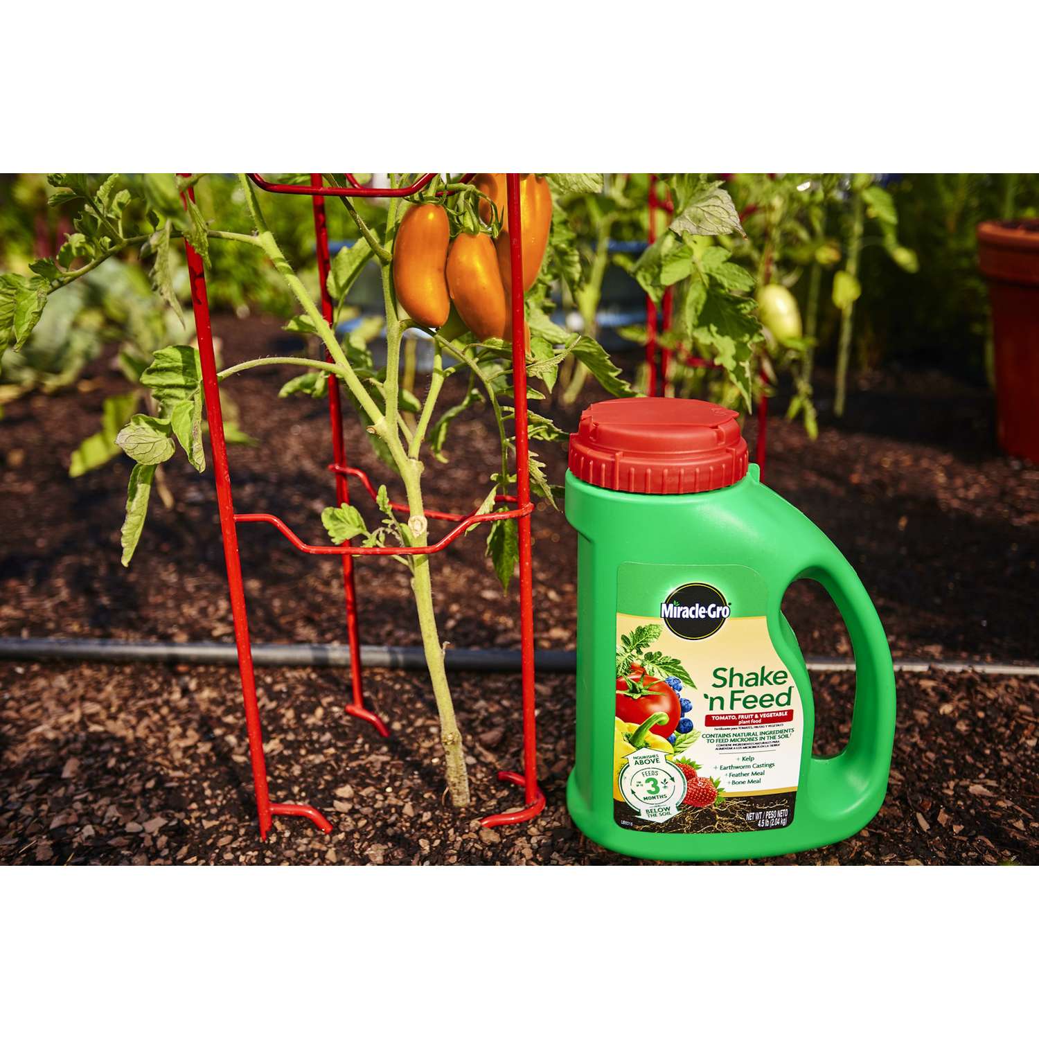  Miracle-Gro Shake 'n Feed Granules Plant Food 4.5 Lb
