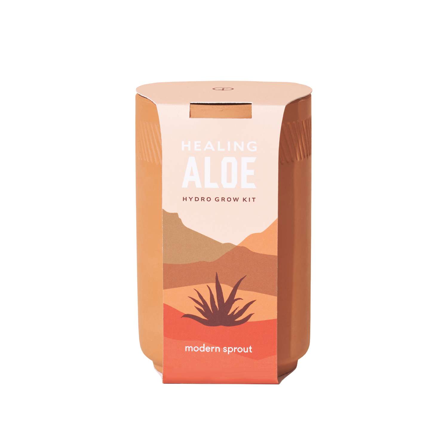  Modern Sprout Healing Aloe Succulent Seed Starter Kit
