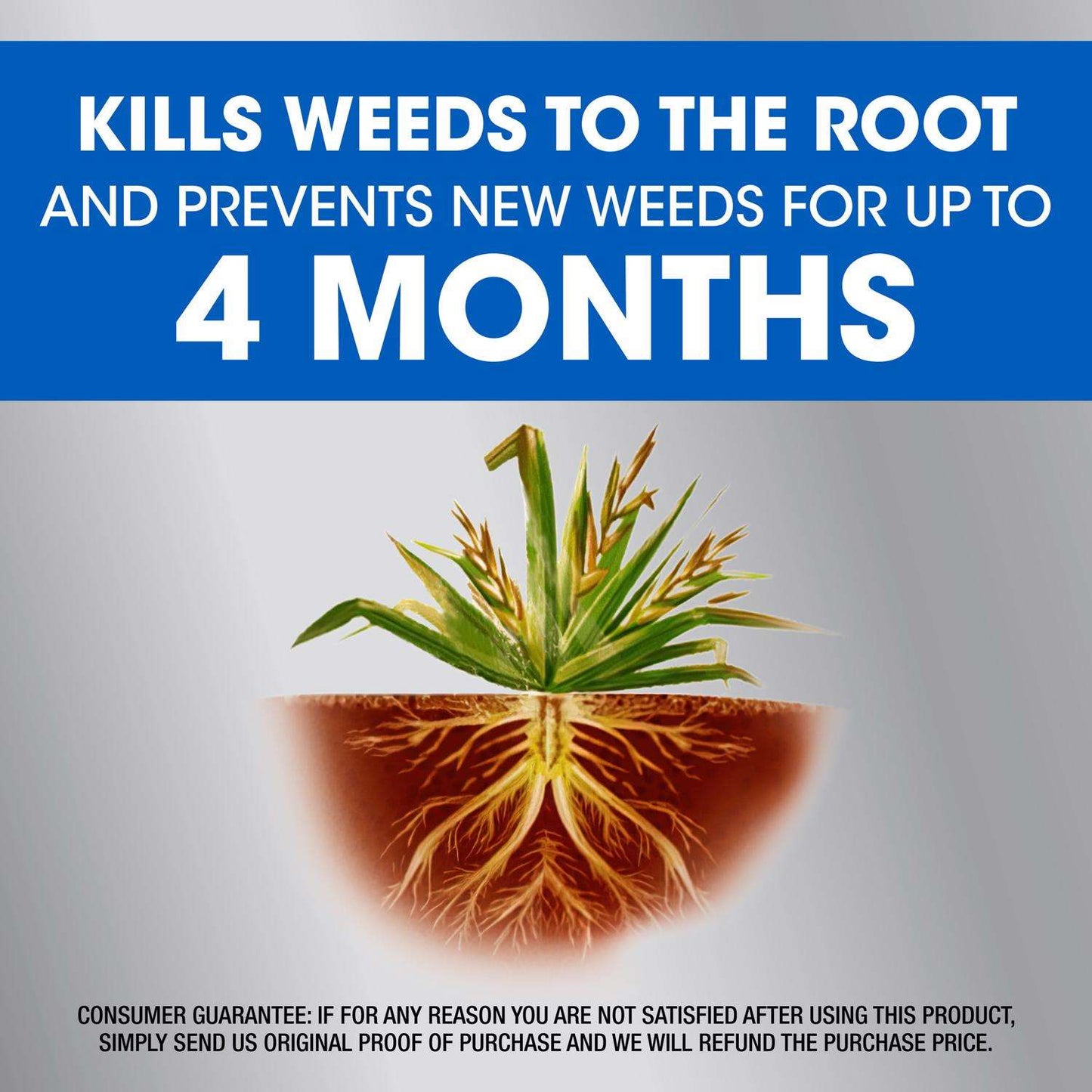 Roundup Dual Action Weed And Grass Killer RTU Liquid 1 Gal