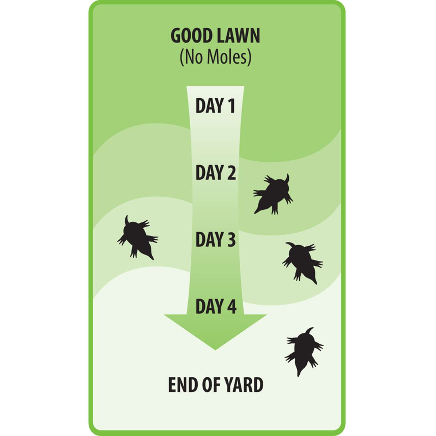  Victor Animal Repellent Granules For Gophers And Moles 4 Lb