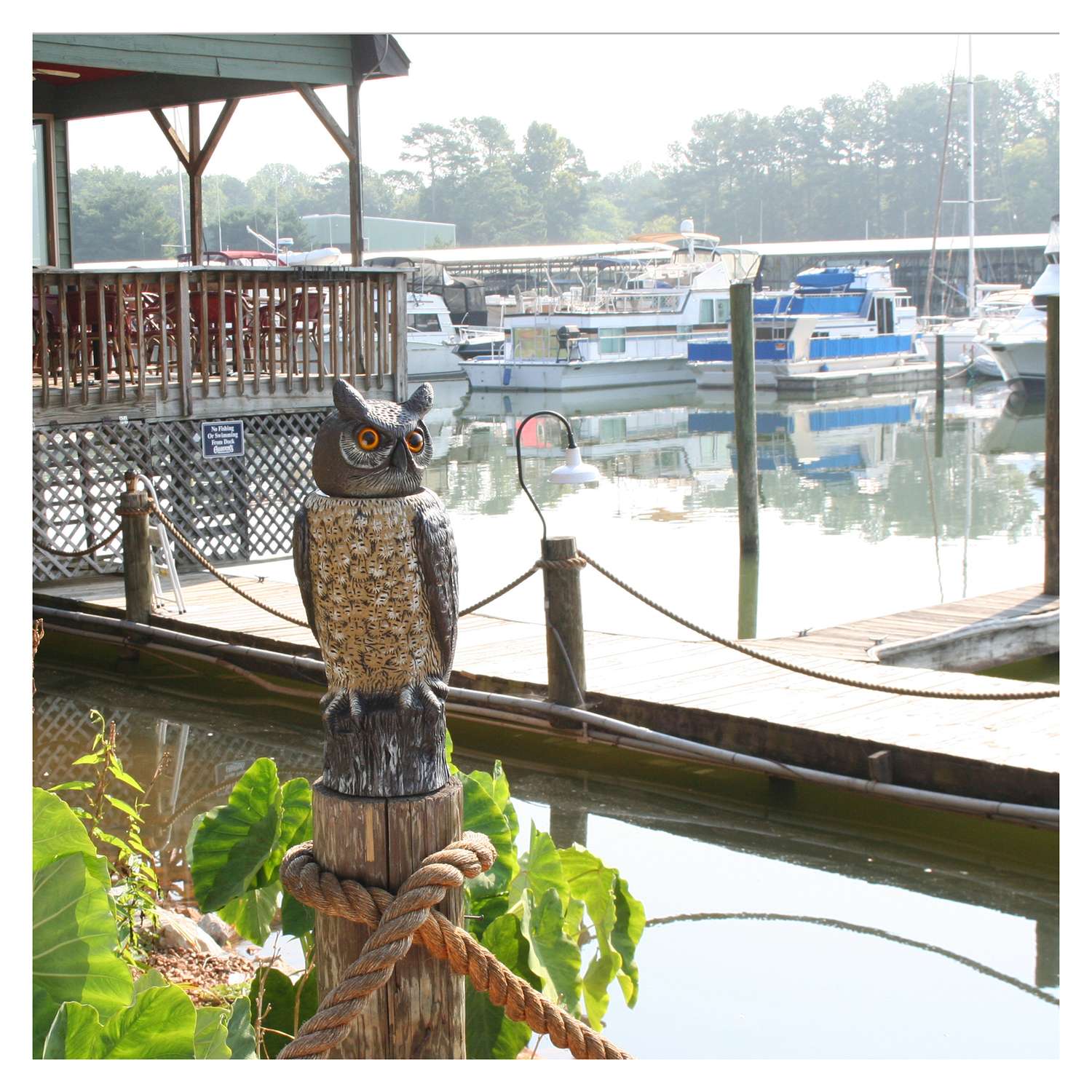  Dalen Scarecrow Rotating-Head Owl Animal Repellent Decoy For All Pests