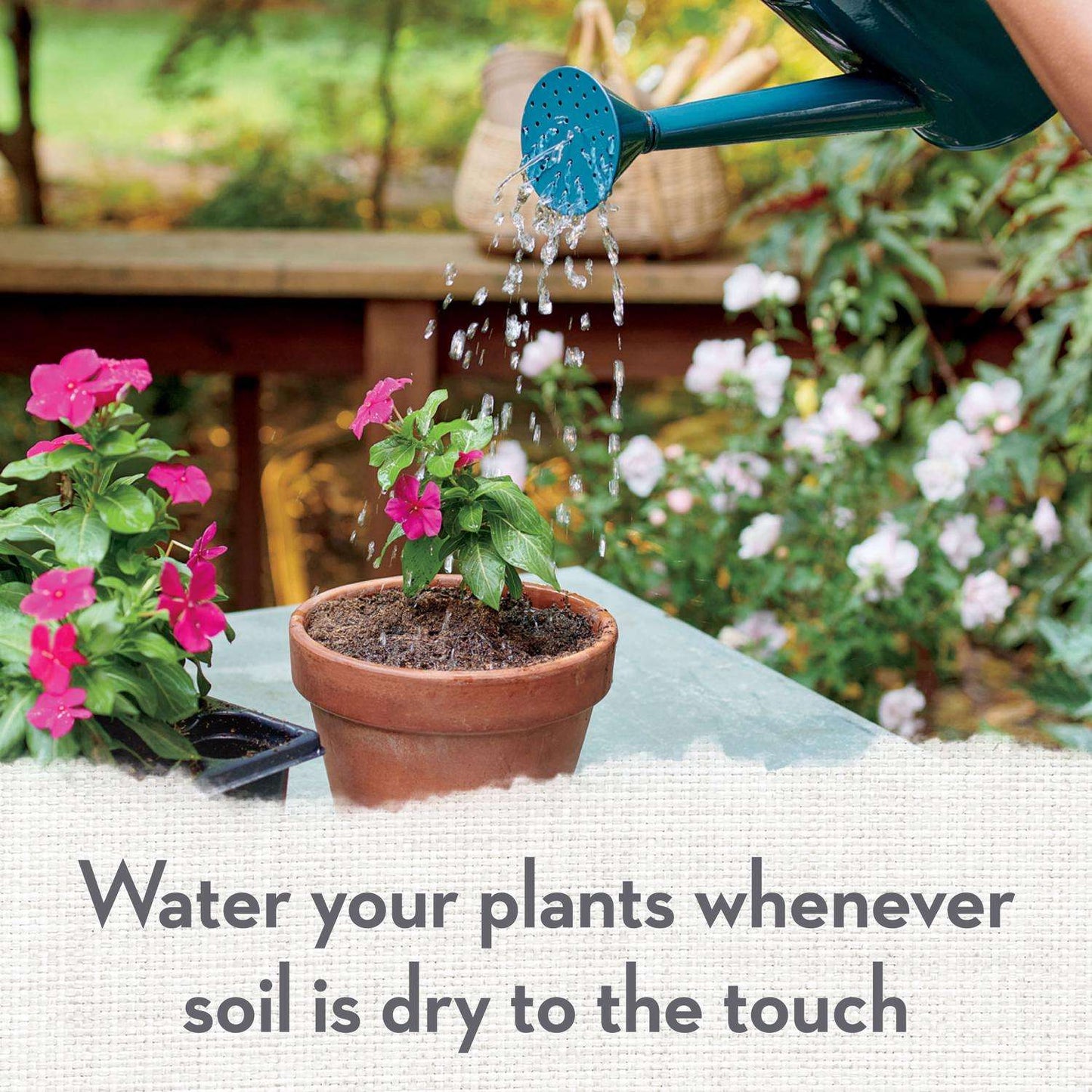  Whitney Farms Organic All Purpose Potting Soil 1.5 Cu Ft