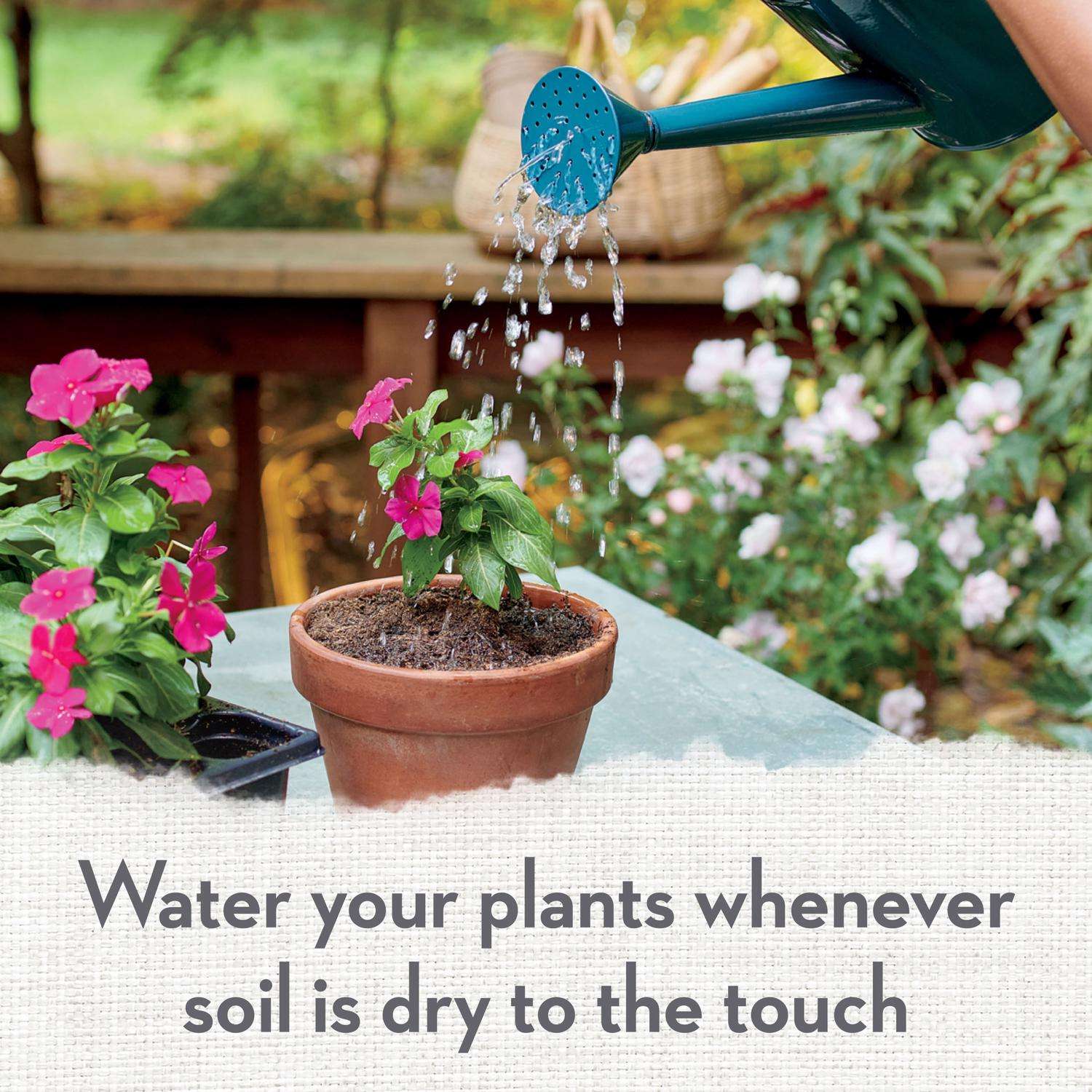  Whitney Farms Organic All Purpose Potting Soil 1.5 Cu Ft