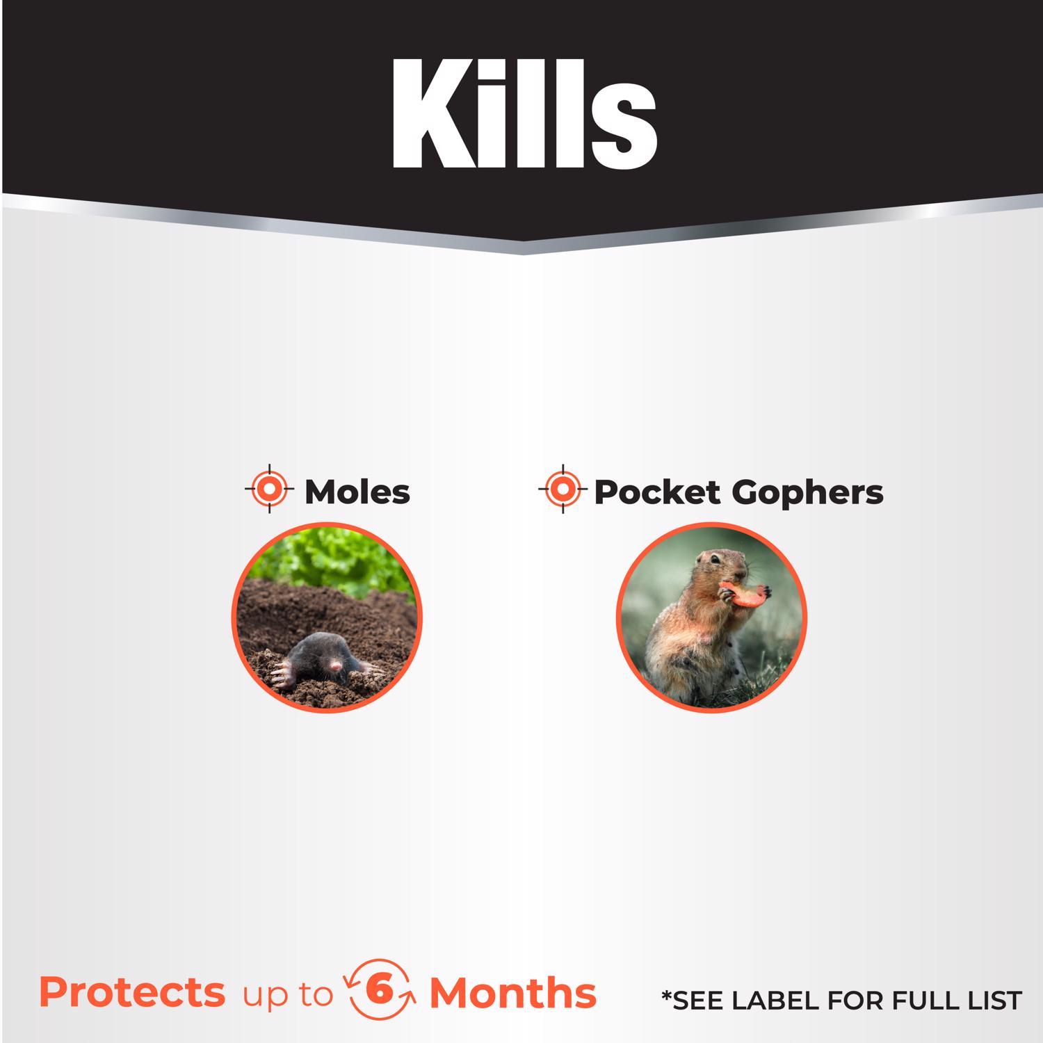  Bonide Moletox II Toxic Bait Granules For Gophers And Moles 1 Lb 1 Pk