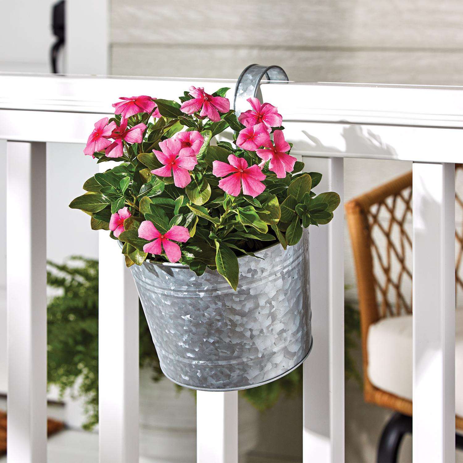  Panacea 6 In. H X 8 In. D Steel Over The Rail Planter Galvanized