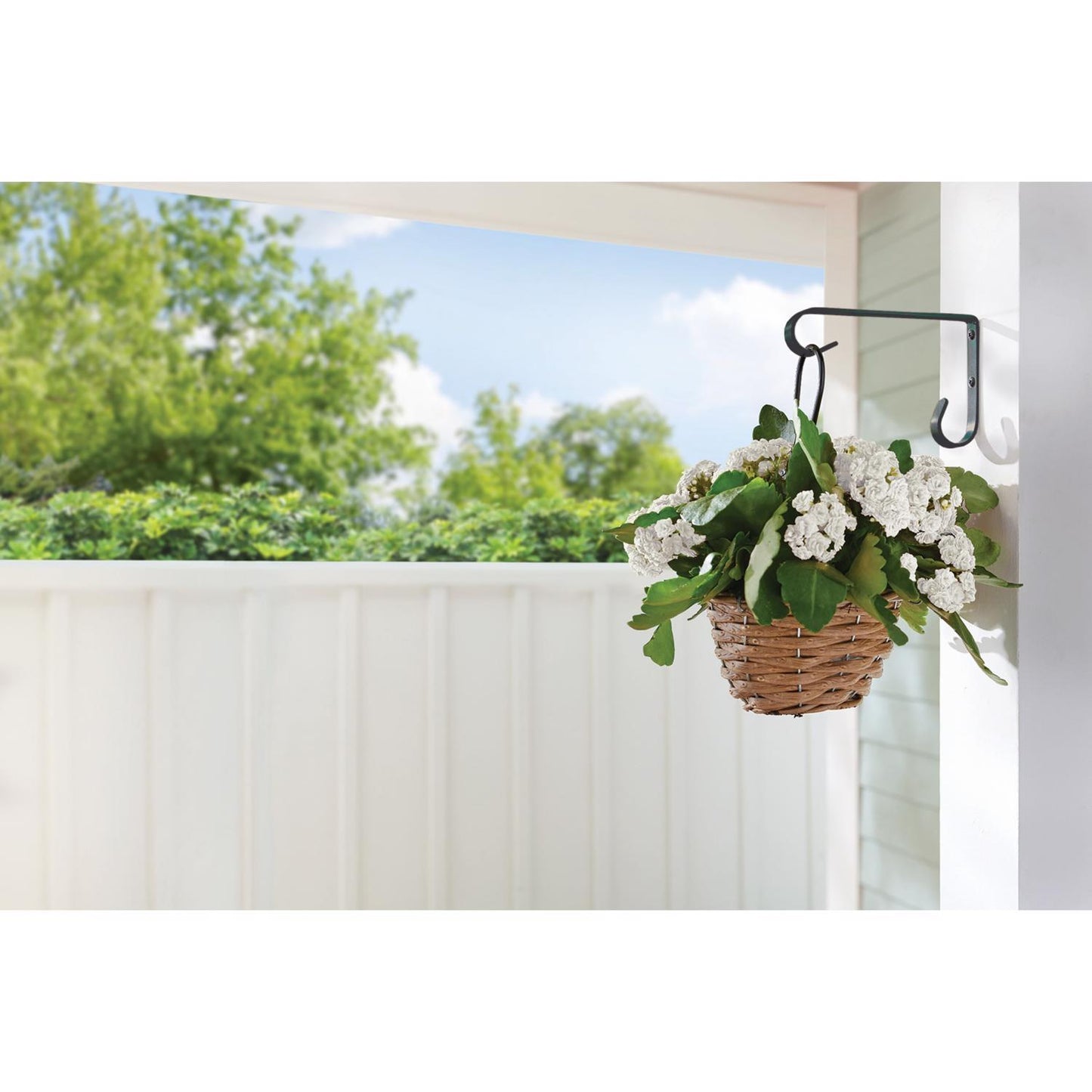  Living Accents Black Steel 6 In. H Basic Plant Hook 1 Pk
