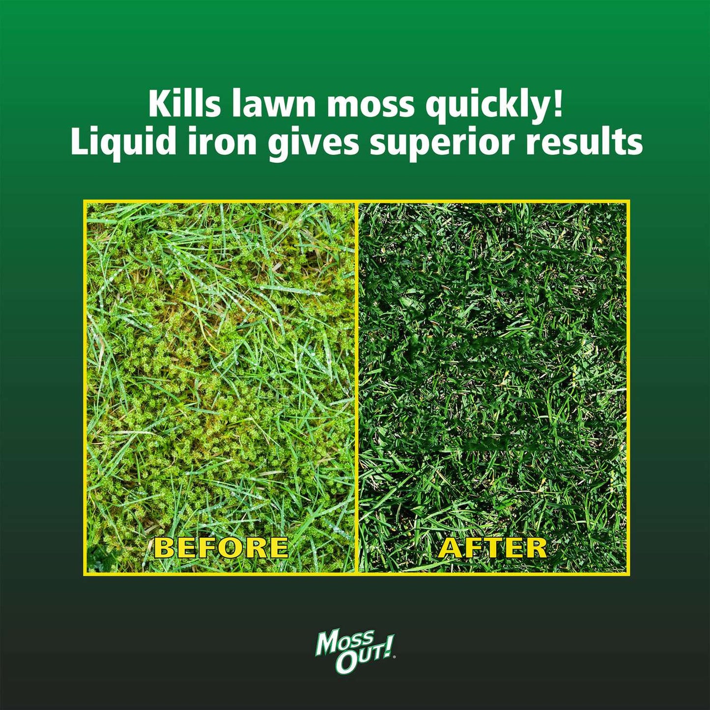  Lilly Miller Moss Out Moss Killer RTU Liquid 1 Gal