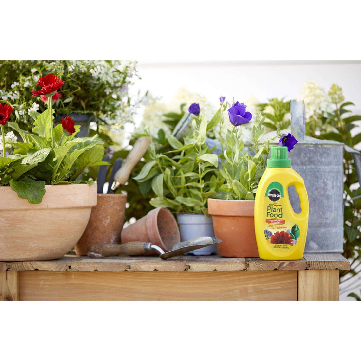  Miracle-Gro Liquid All Purpose Plant Food 1 Qt