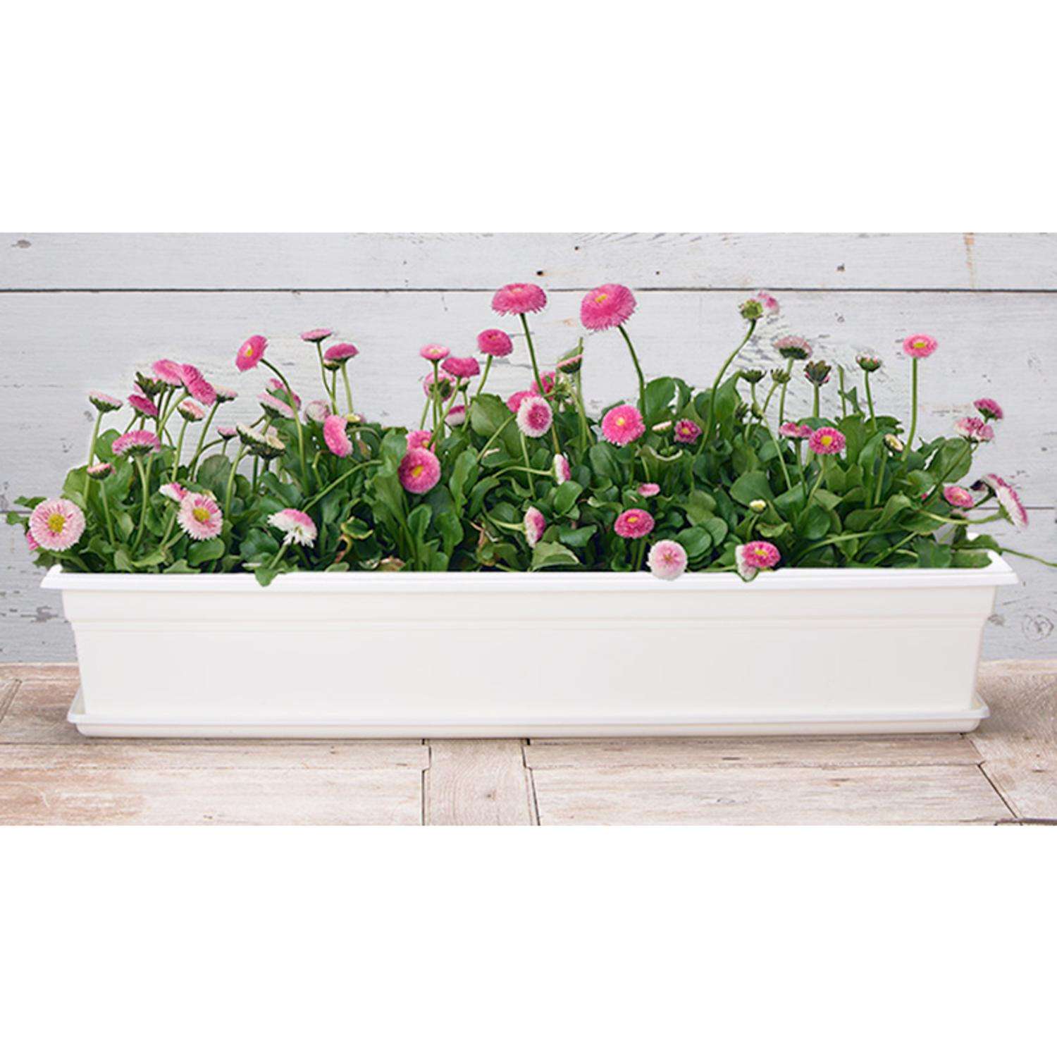  Novelty 6.5 In. H X 8 In. W X 36 In. D X 36 In. D Plastic Countryside Flower Box White
