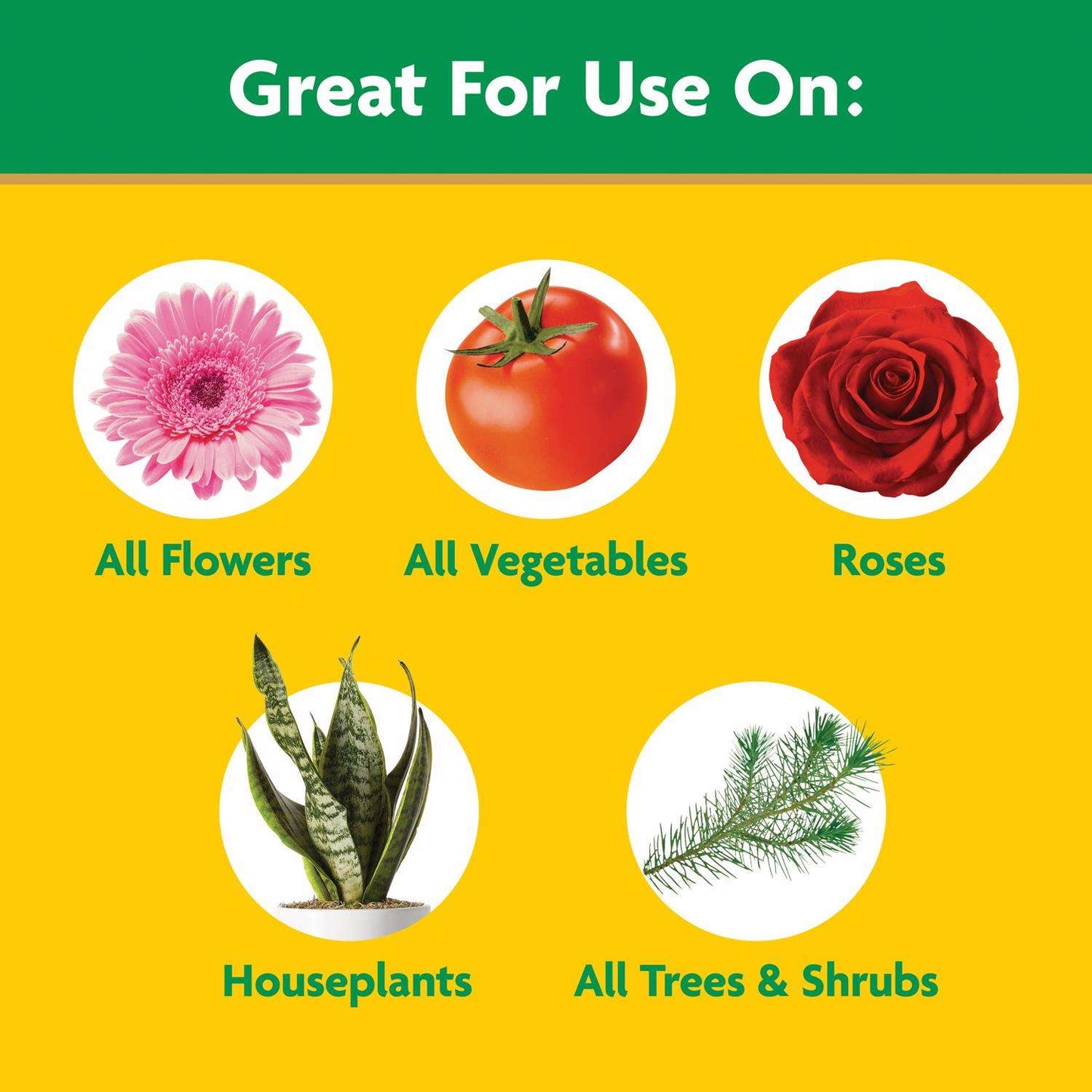  Miracle-Gro Granules All Purpose Plant Food 10 Lb