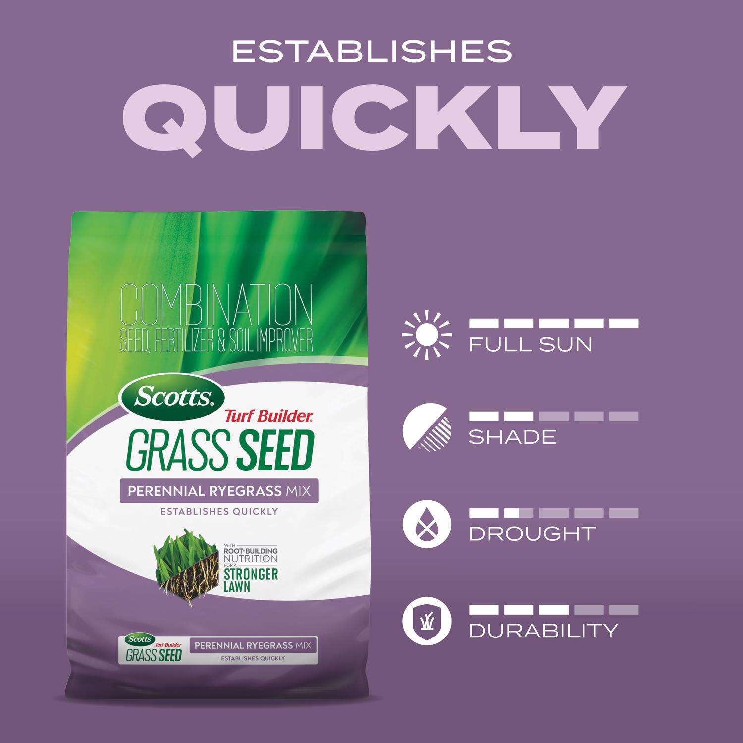  Scotts Turf Builder Perennial Ryegrass Sun Or Shade Fertilizer/Seed/Soil Improver 2.4 Lb