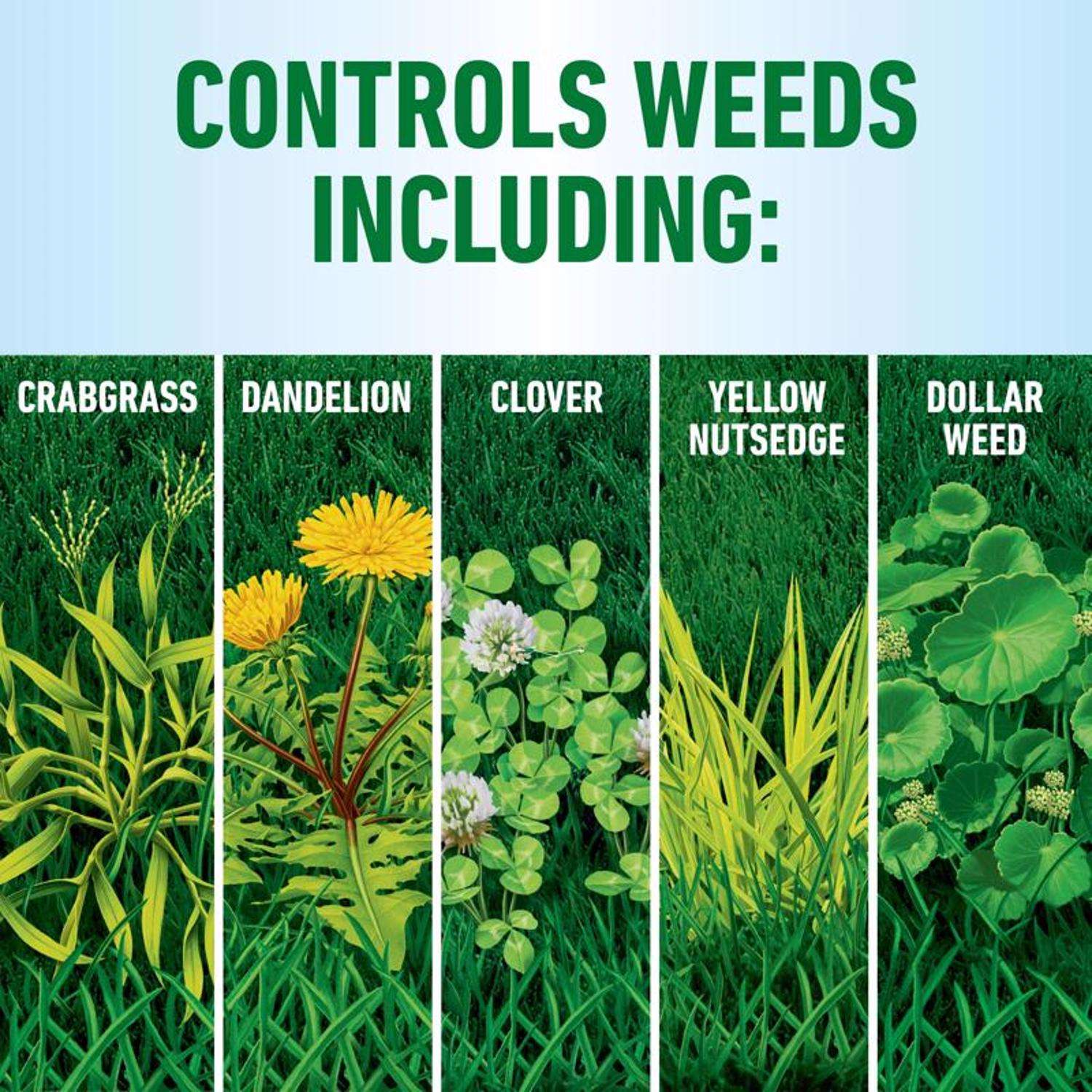  Roundup Weed Killer RTS Hose-End Concentrate 32 Oz