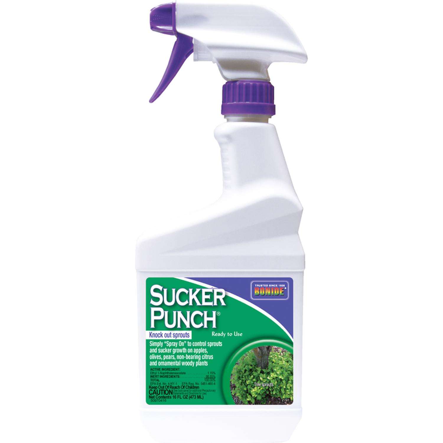  Bonide Sucker Punch Tree Roots Killer RTU Liquid 16 Oz