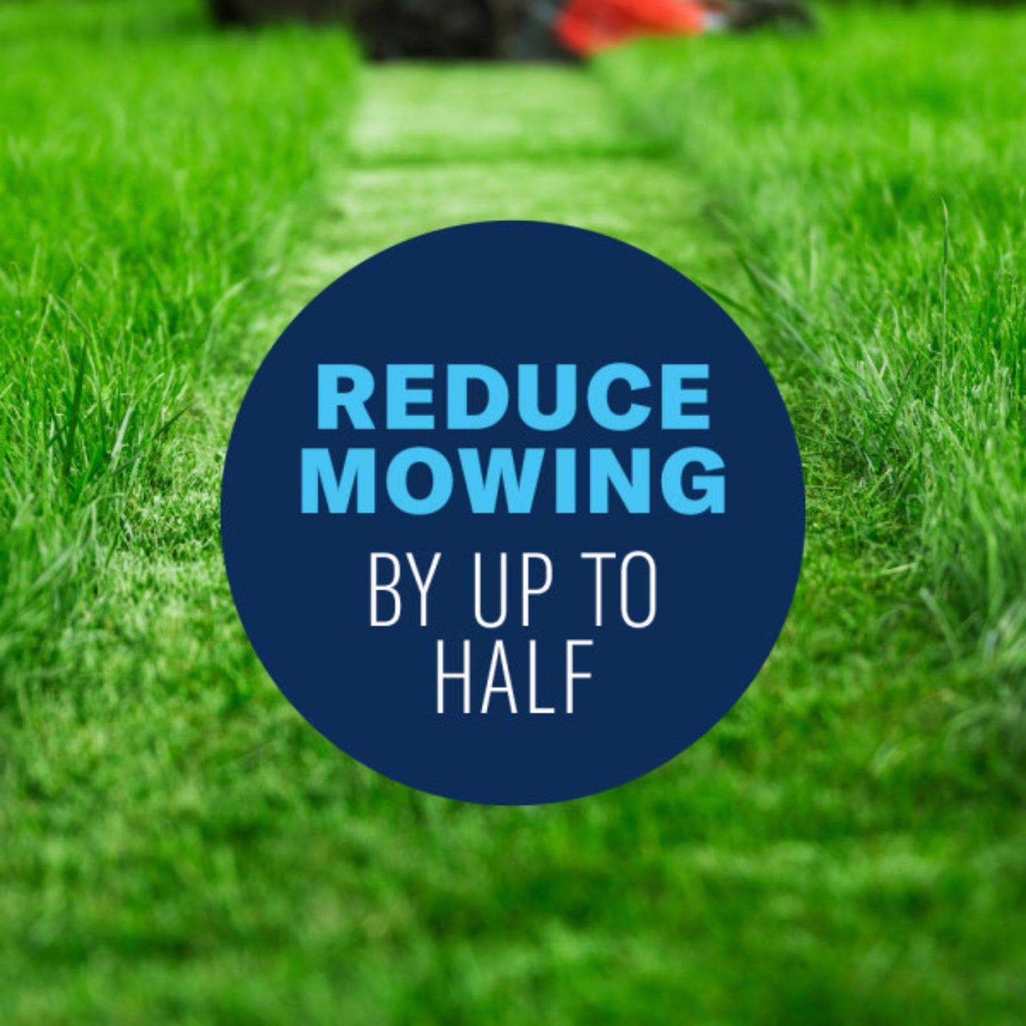  BioAdvanced Slow Mow All-Purpose Lawn Conditioner For All Grasses 2600 Sq Ft