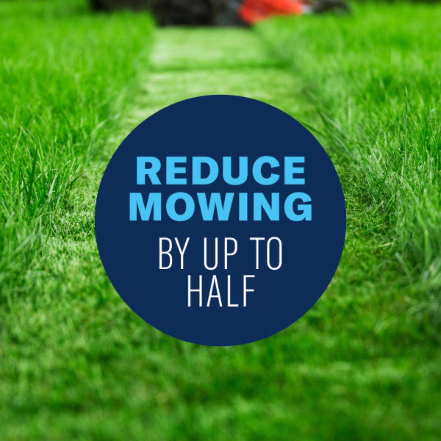  BioAdvanced Slow Mow All-Purpose Lawn Conditioner For All Grasses 2600 Sq Ft