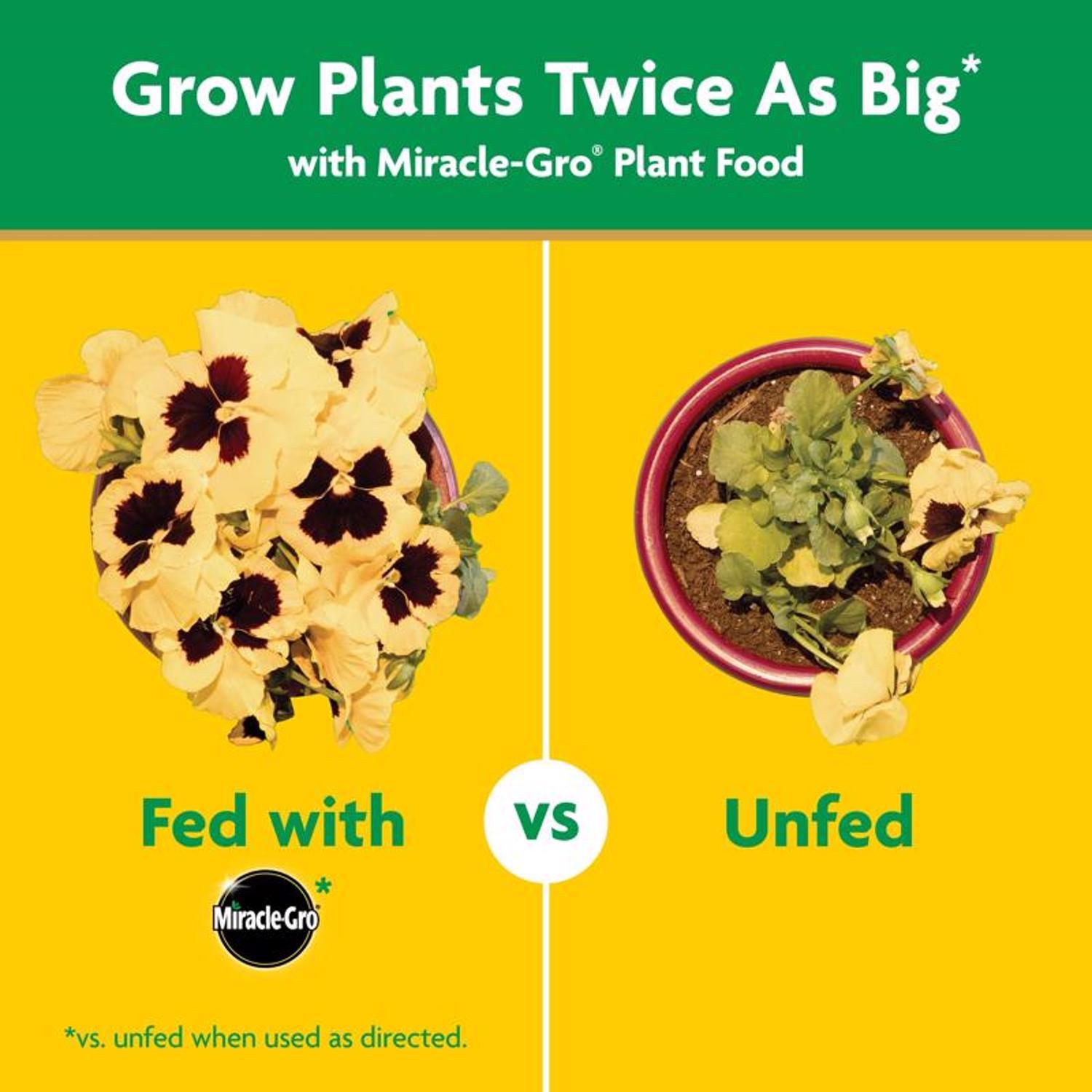 Miracle-Gro Liquid Concentrate Plant Food 1 Lb