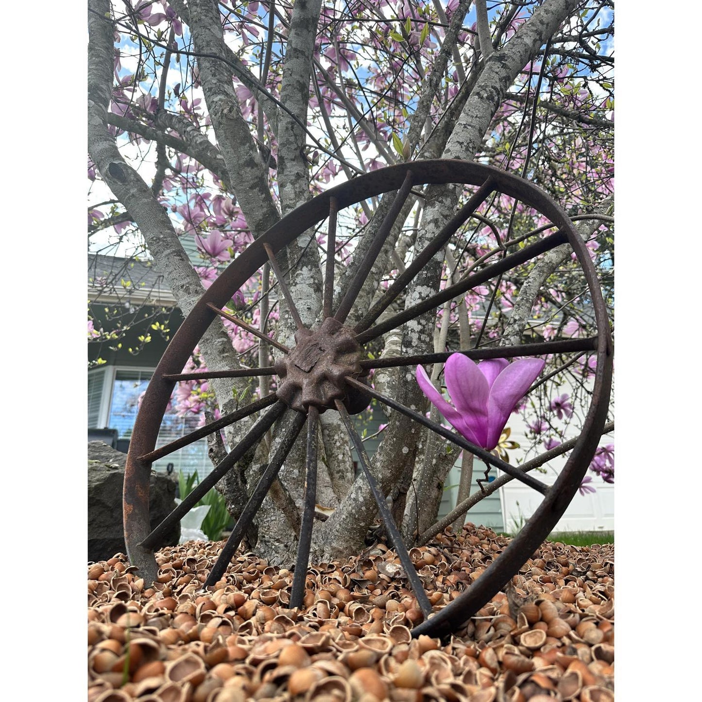  Hazel Shell Mulch Natural Mulch 1.5 Cu Ft