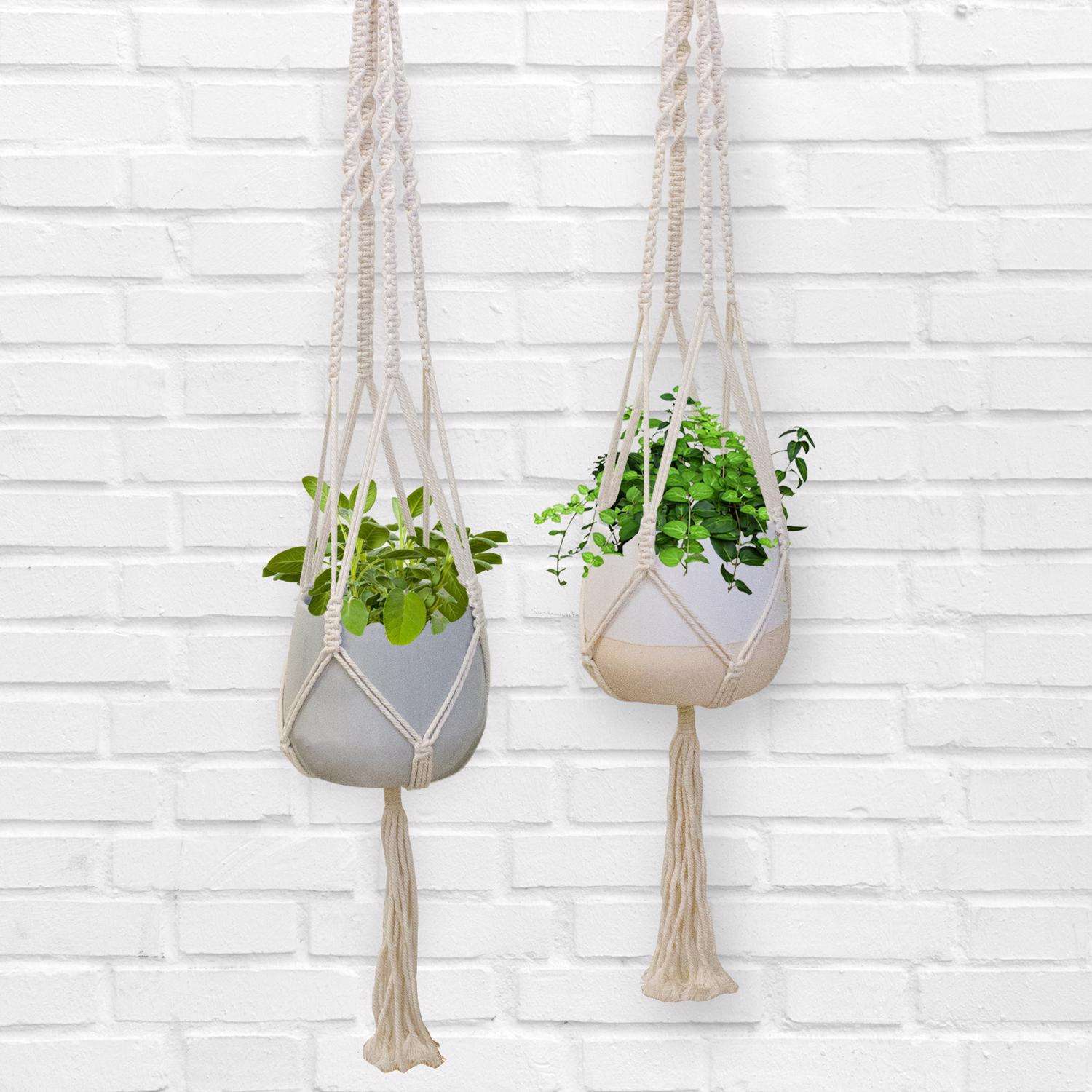  Trendspot Macrame 4.7 In. H X 5.7 In. W X 5.7 In. D X 5.5 In. D Ceramic Planter White