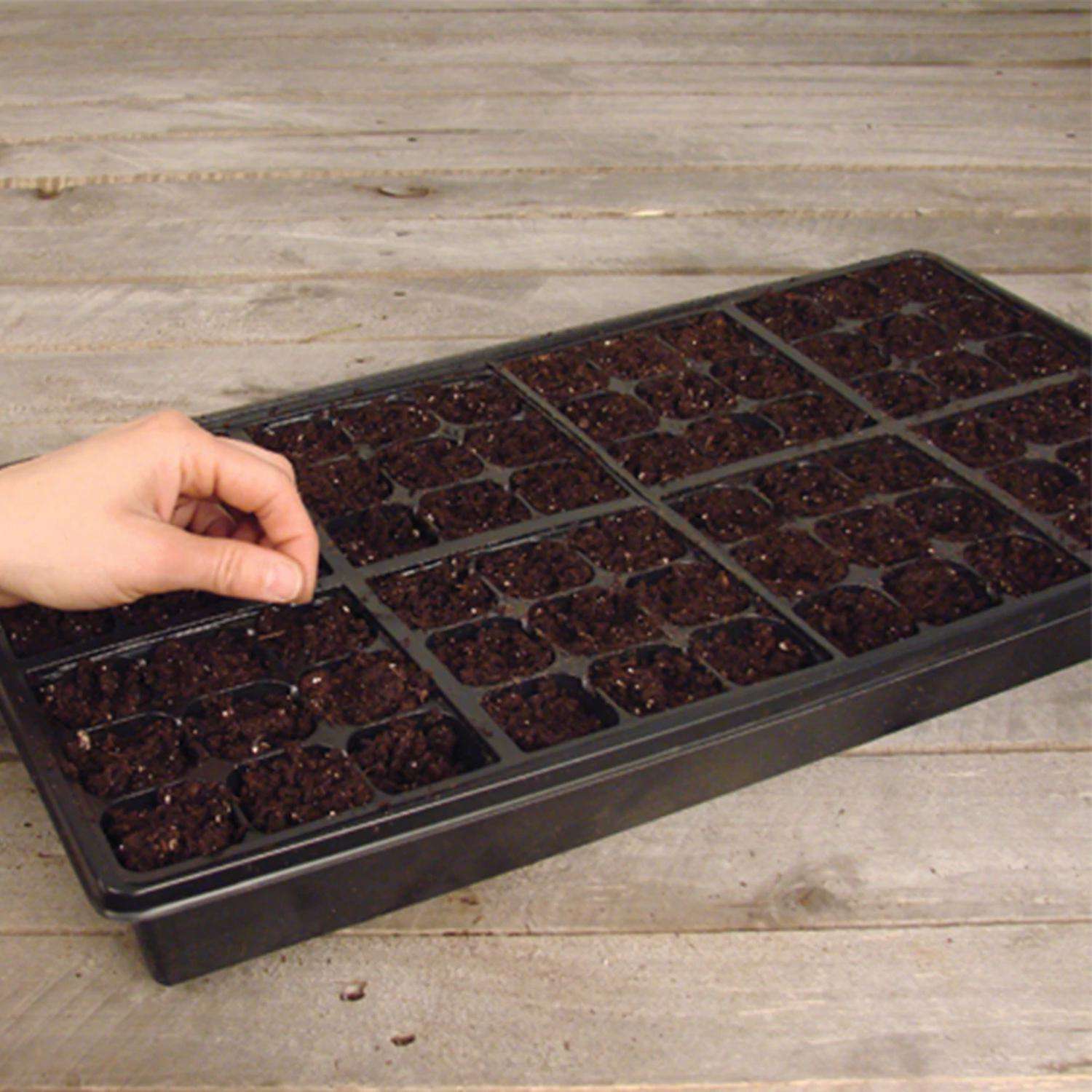  Jiffy Greenhouse 72 Cells 11 In. W X 22 In. L Seed Starting Kit 1 Pk