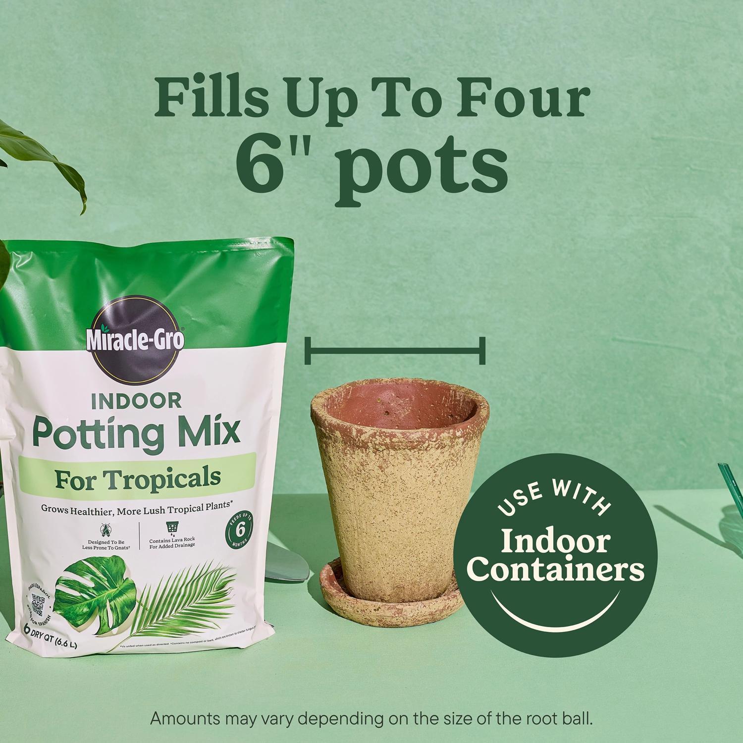  Miracle-Gro Tropical Cacti, Citrus And Palm Potting Mix 6 Qt