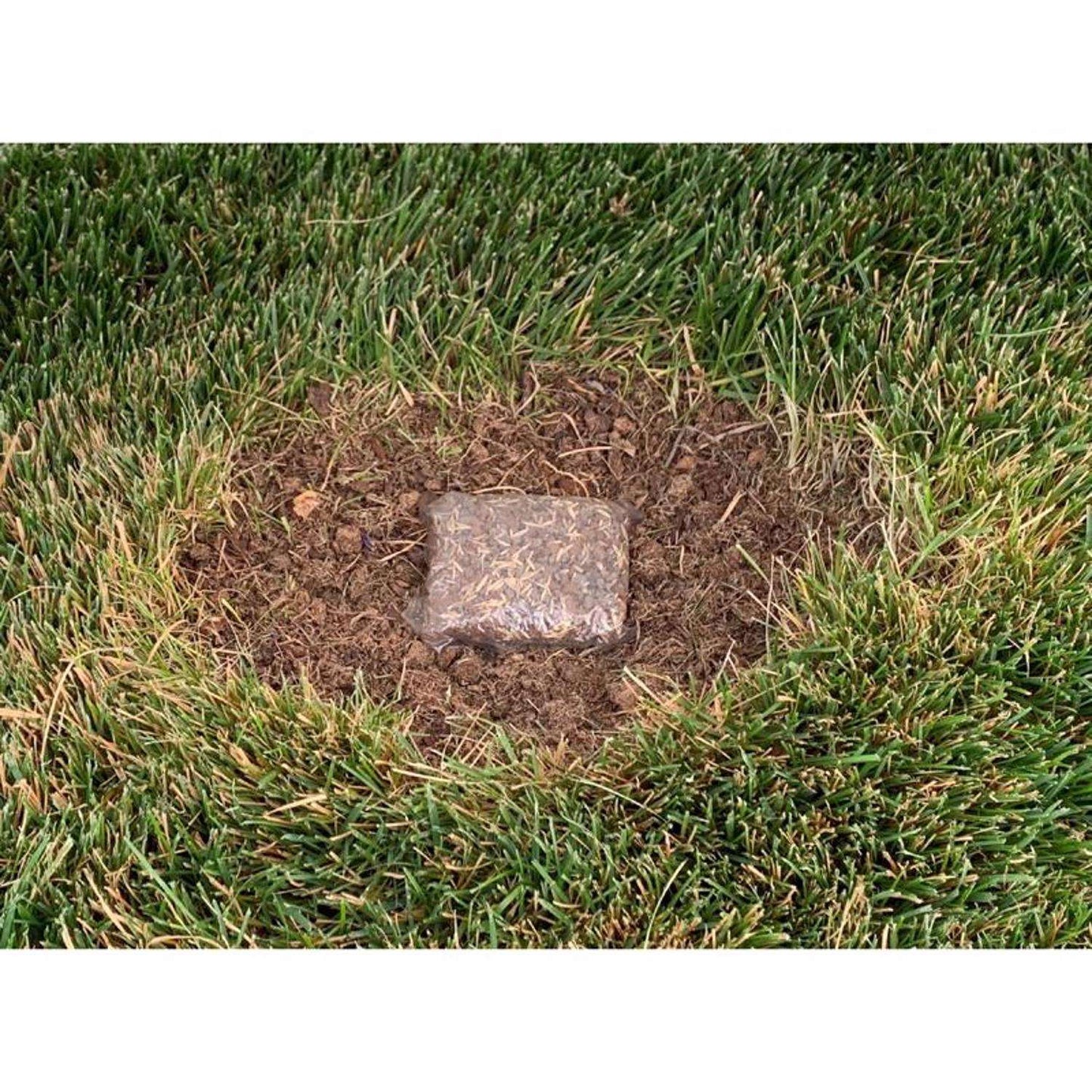  Ace Rapid Repair Pod All Grasses Full Sun Fertilizer/Mulch/Seed 15 Pk
