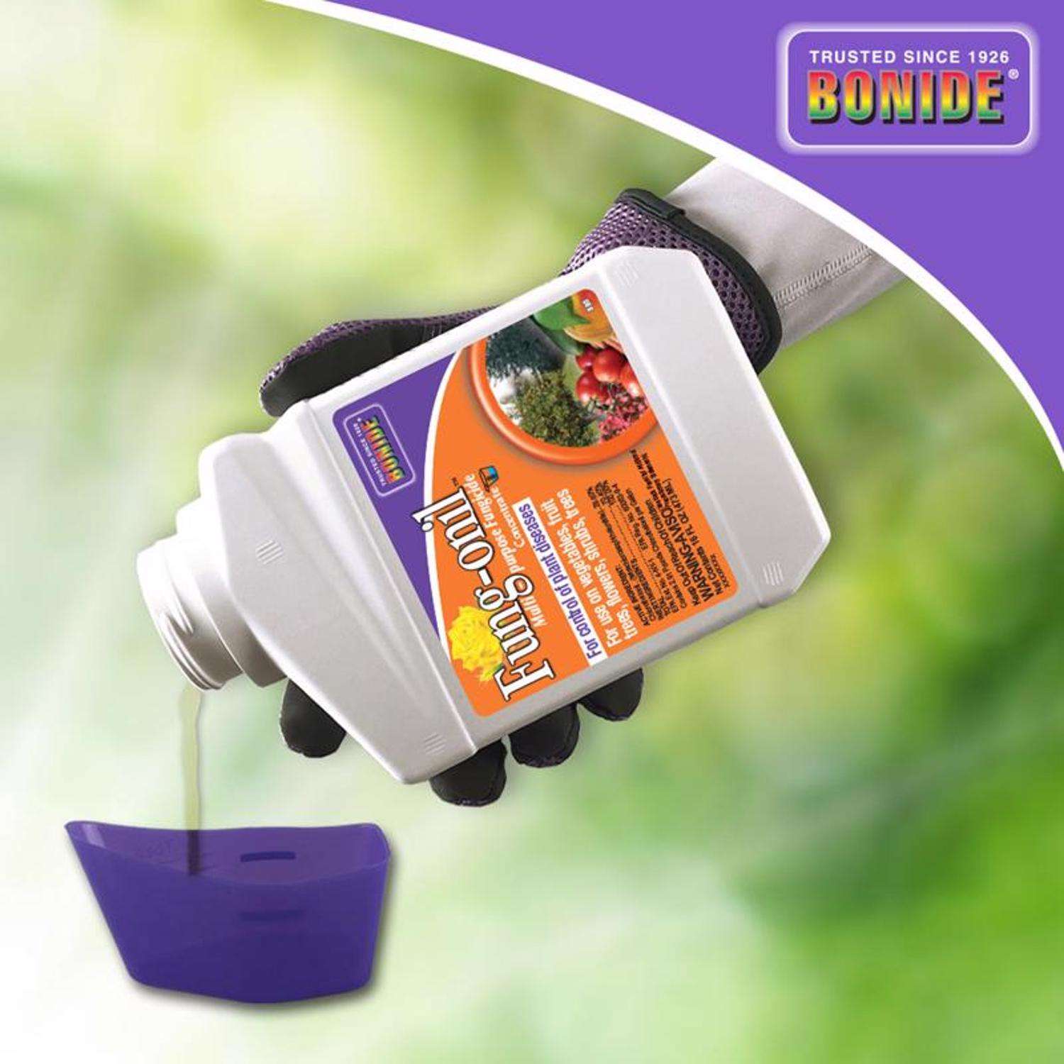  Bonide Fung-onil Concentrated Liquid Fungicide 16 Oz