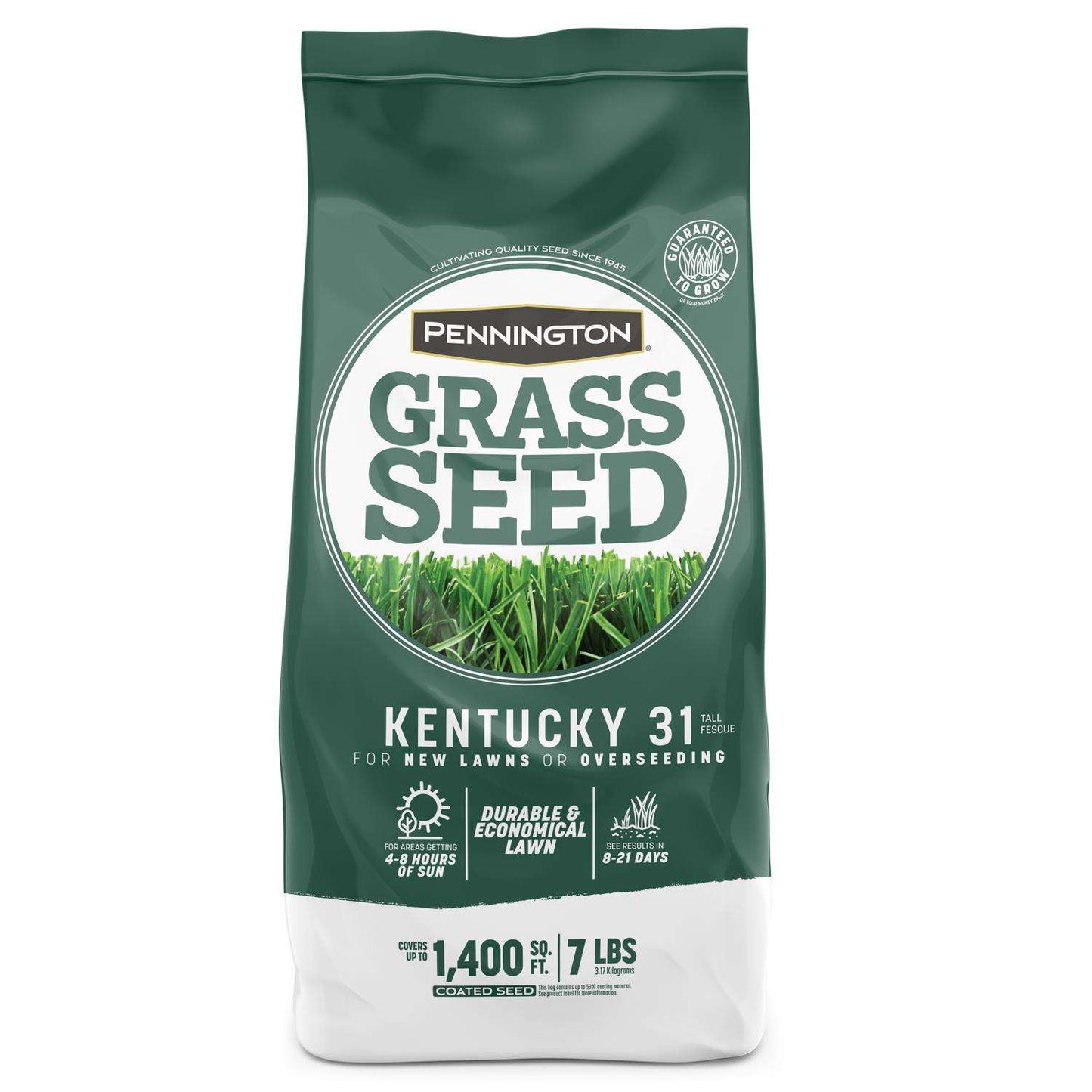  Pennington Kentucky 31 Tall Fescue Grass Sun Or Shade Grass Seed 7 Lb