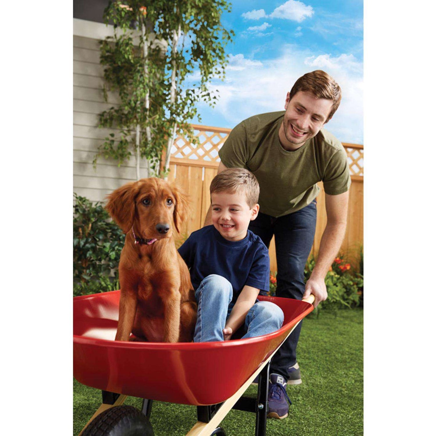  Ace Steel Residential Wheelbarrow