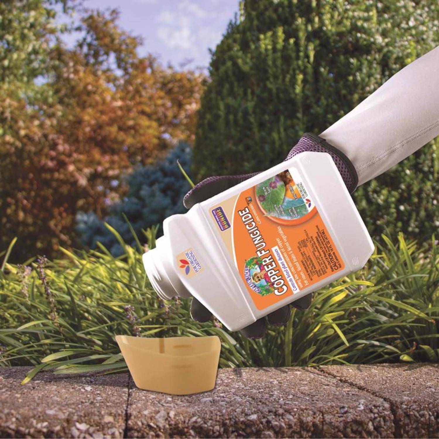  Bonide Liquid Copper Concentrated Liquid Fungicide 16 Oz