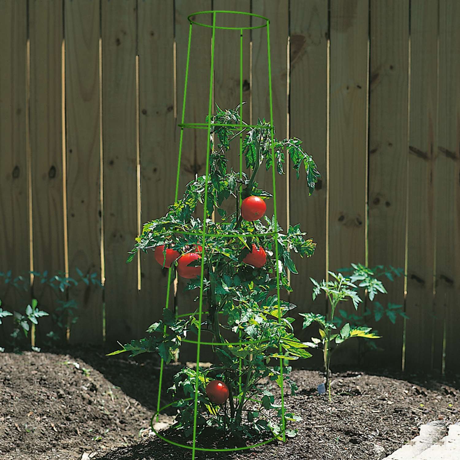  Panacea Inverted 42 In. H X 16 In. W Green Steel Tomato Cage